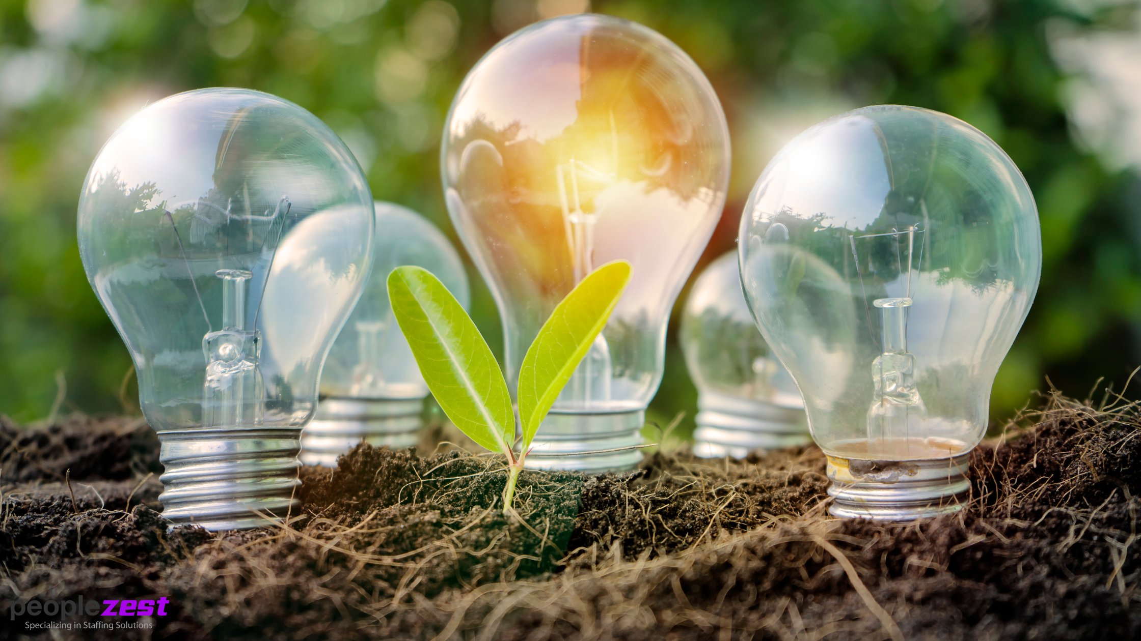 Our Word of the Year and What’s Ahead