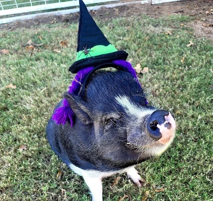 A Shift in Focus: Rethinking the Tie between Performance Reviews and Annual Increases