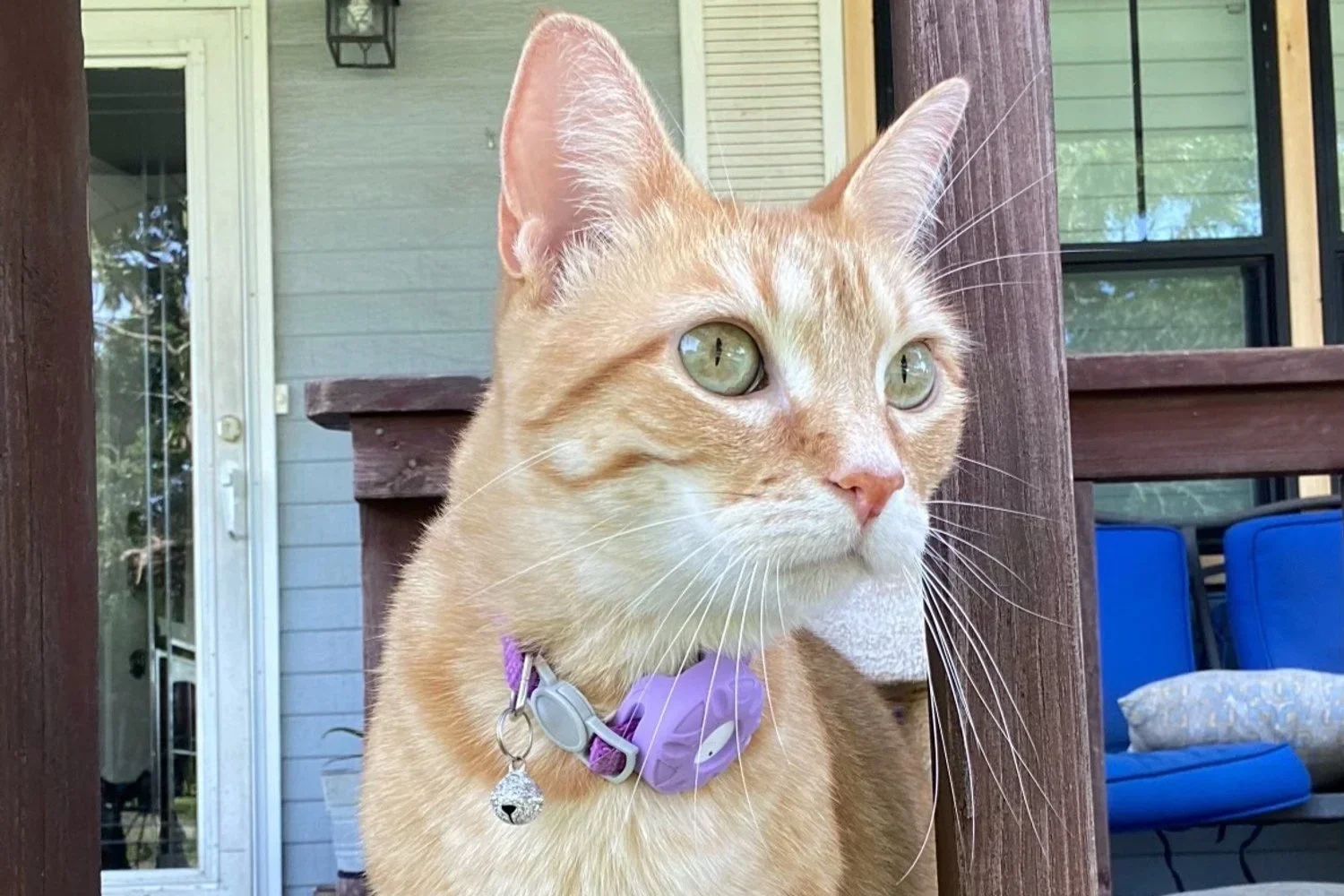 A Year to be Grateful For: 2024 Coming to a Close