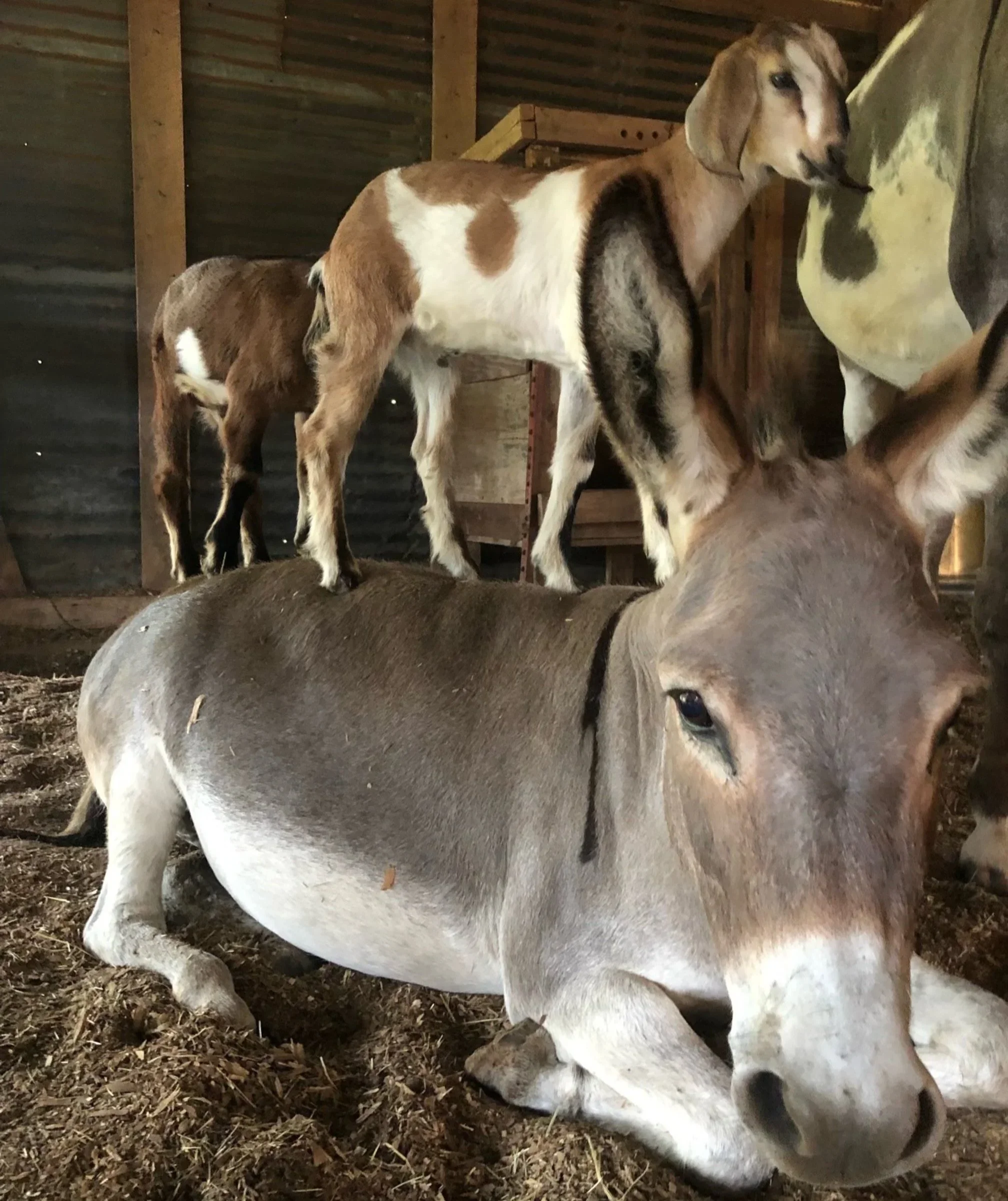 Making the Word of the Year Work for Us