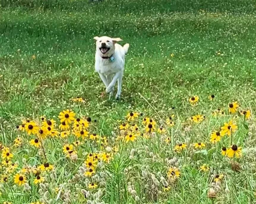 Workplace Behavior and Fostering Innovation