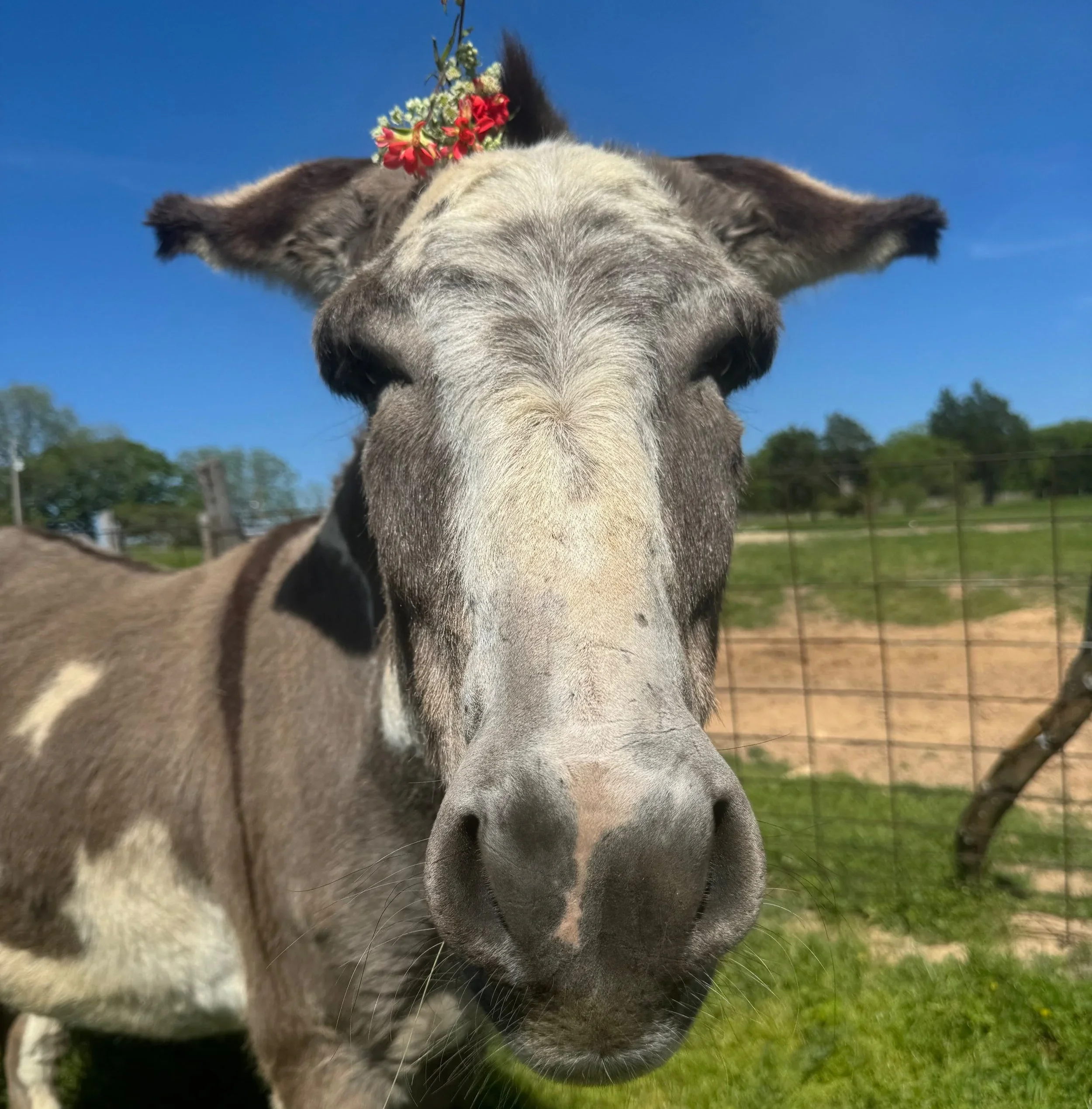 More than Words: Tips for Positive Workplace Communication