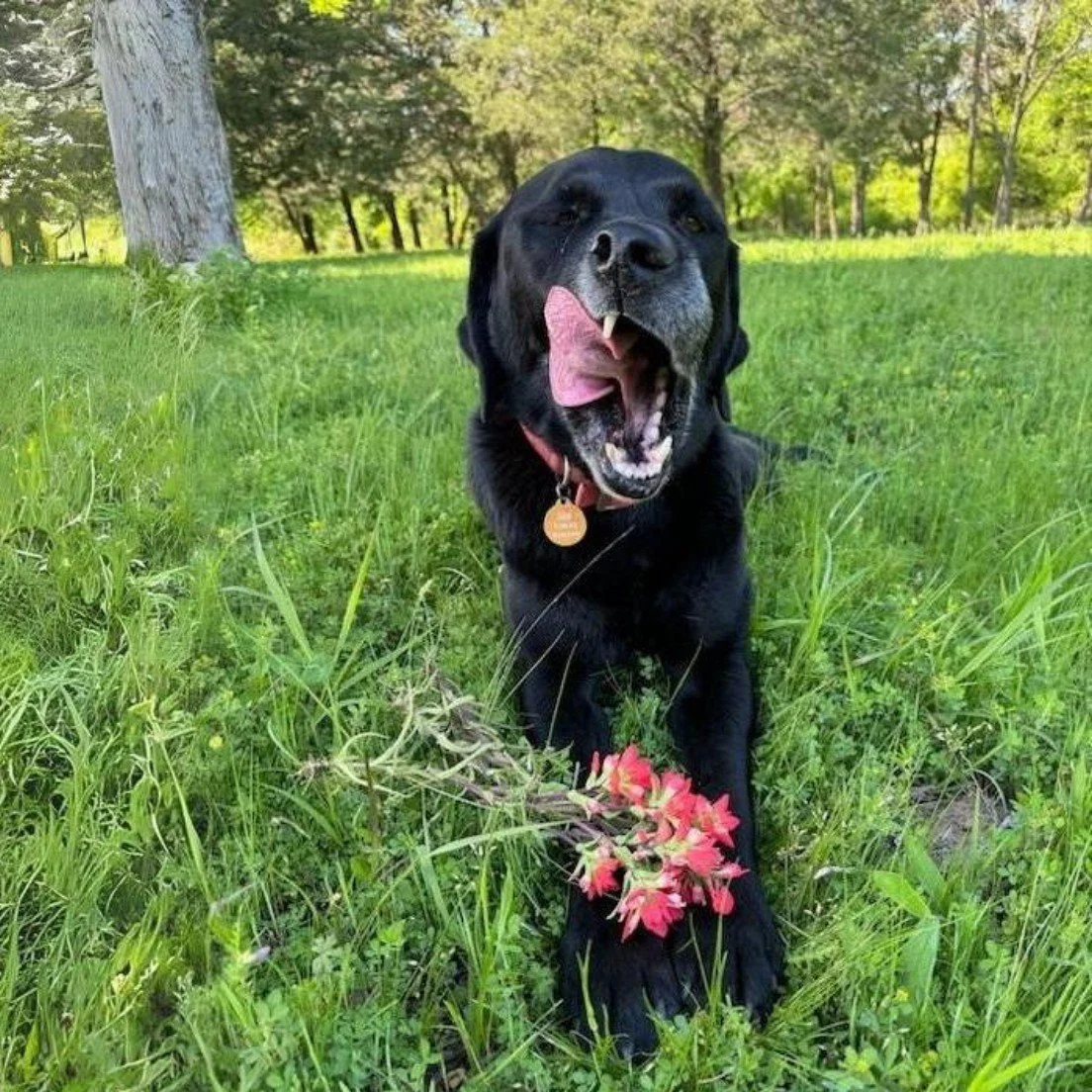 Rest, Restore, Recharge: Why Multifamily Leaders Need a Break to Avoid Burnout