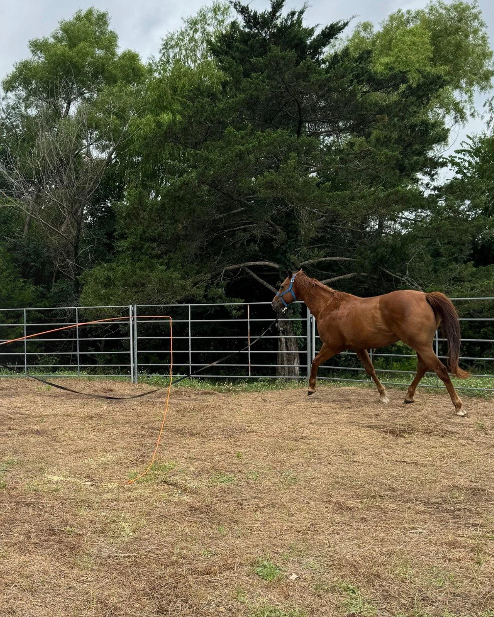 Breaking the Mold: A New Approach to Multifamily Leadership