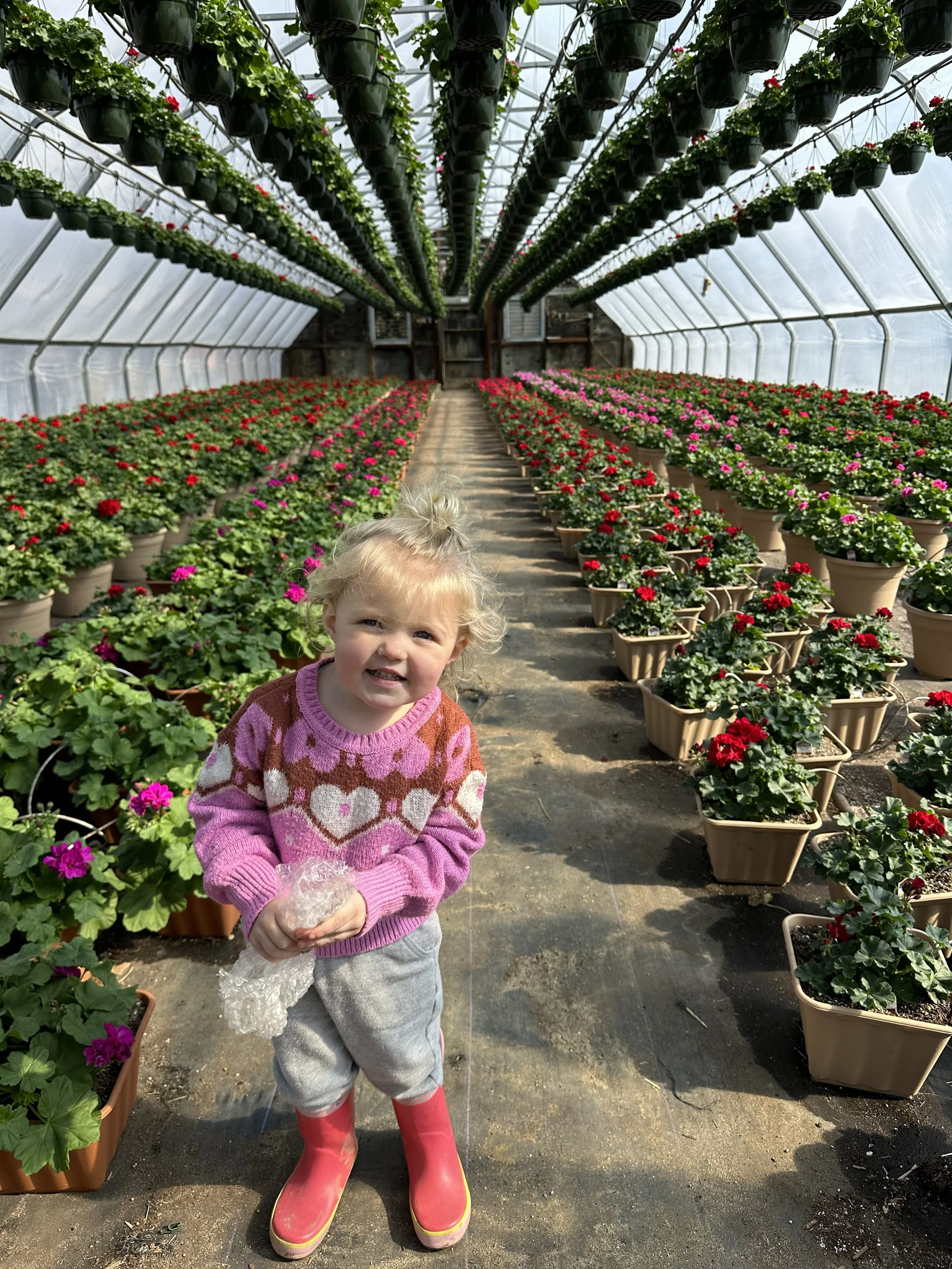 A young girl in a pink and brown sweater, gray pants, and pink rain boots stands in a greenhouse surrounded by rows of colorful potted flowers, with a plastic bag in her hands, smiling at the camera.