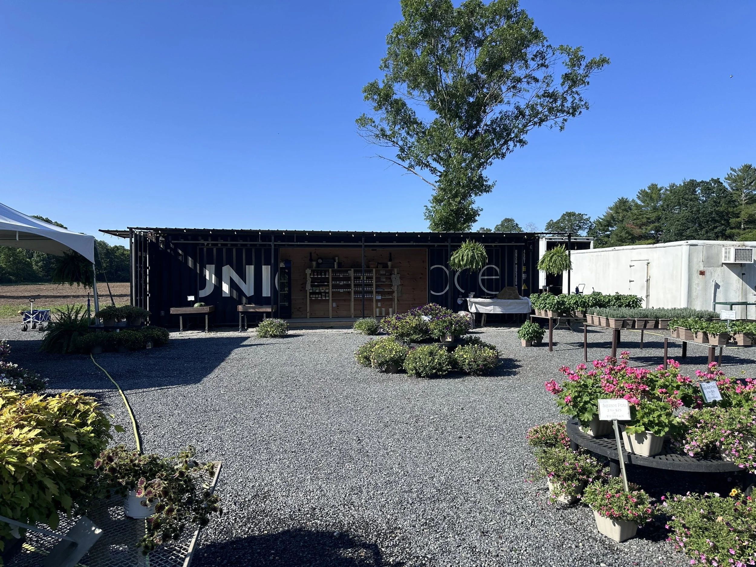 Outdoor plant nursery with potted flowers and plants, a gravel ground, a black container wall with large white lettering, and a small white building in the background under a clear blue sky.