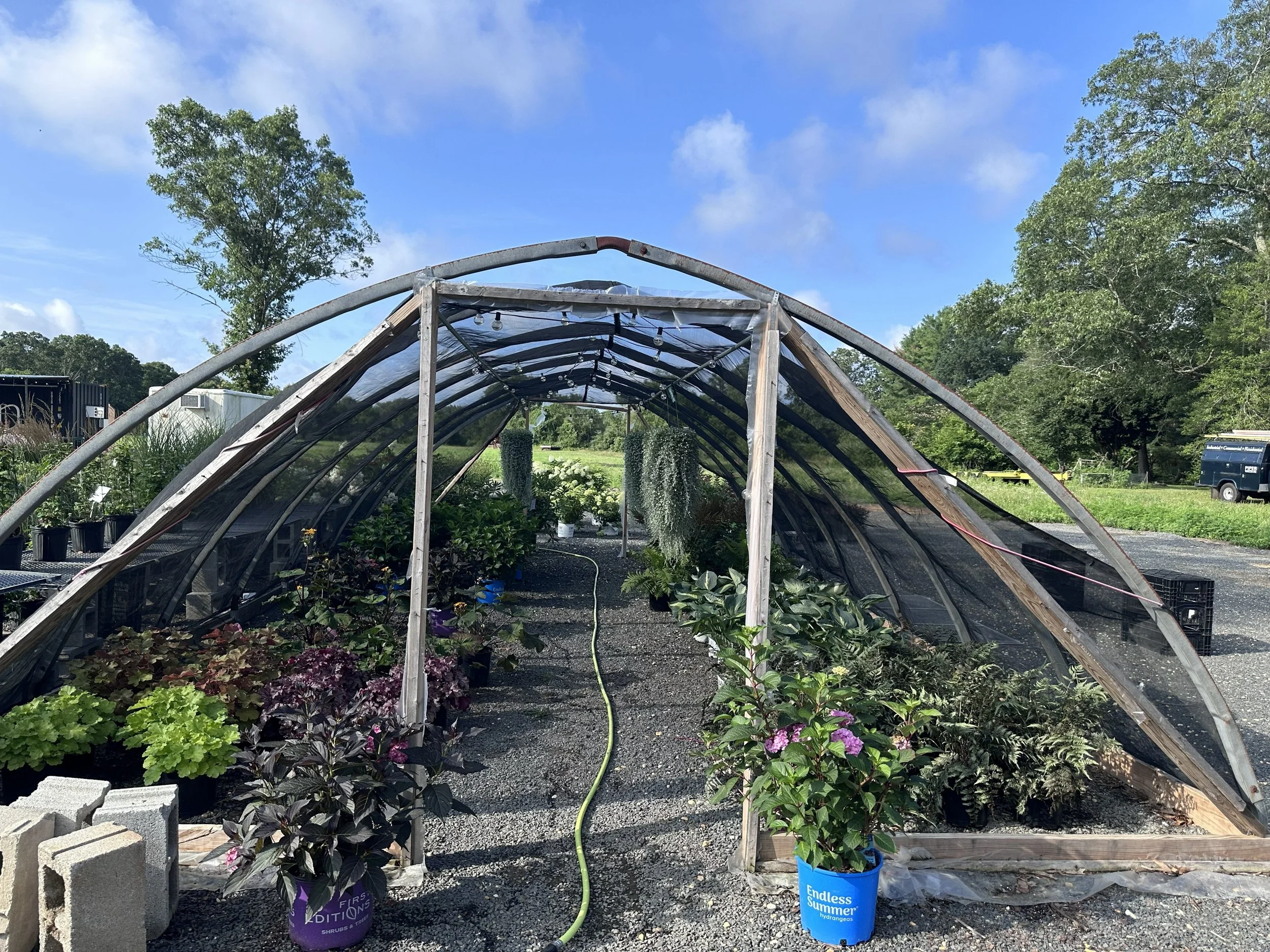 Greenhouse made of curved wooden supports and transparent plastic sheeting, with plants inside, a yellow garden hose on the gravel ground, and blue sky with clouds above.