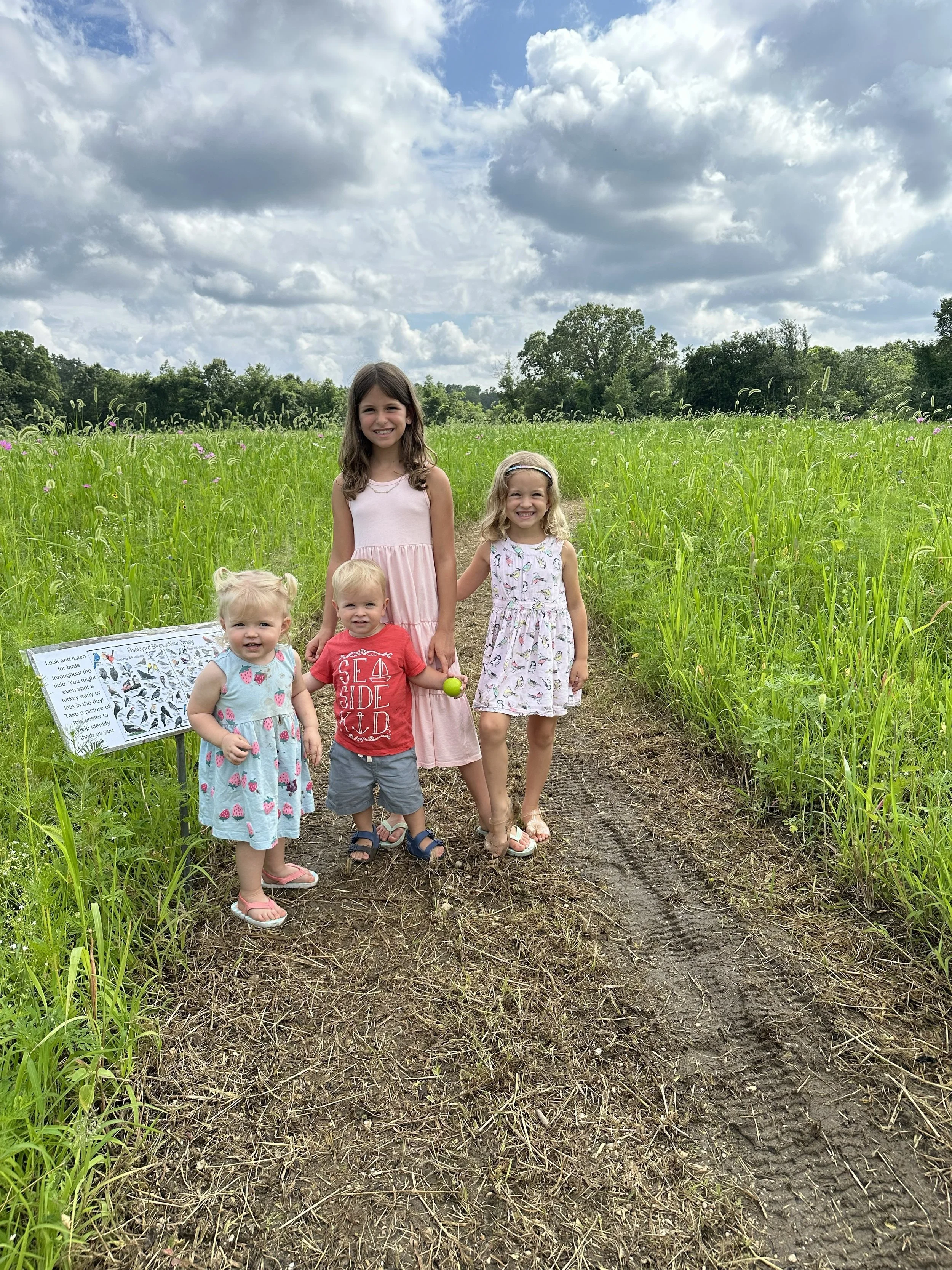 Four young girls stand on a dirt path through a green field of tall grass and wildflowers, with a cloudy sky overhead.