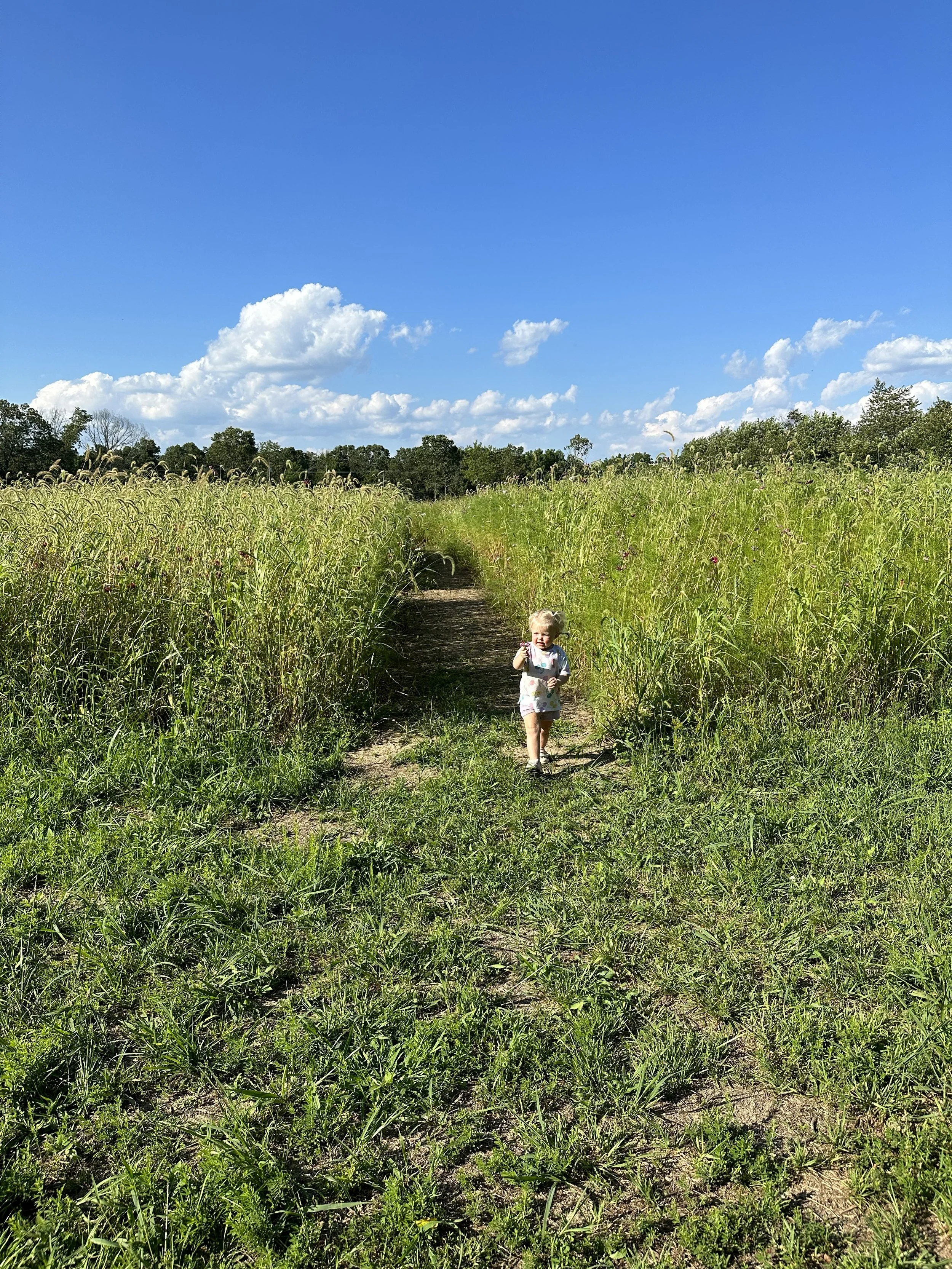 A young girl walking on a dirt path through a grassy field with tall plants on both sides, under a bright blue sky with scattered white clouds.