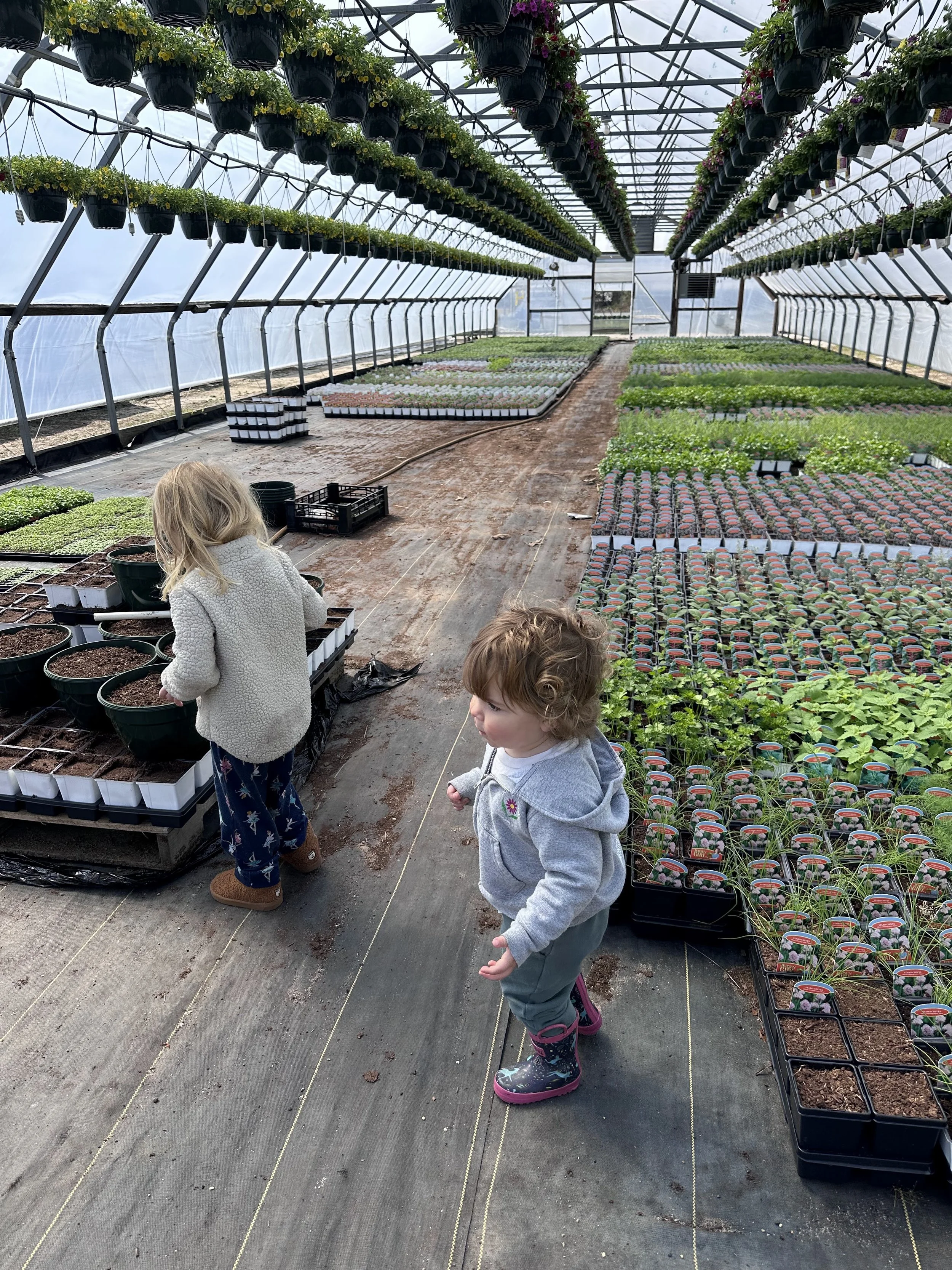 Two young children, a girl and a boy, inside a greenhouse with rows of potted plants and flowers. The girl is touching soil in a pot, and the boy is standing nearby wearing rain boots.
