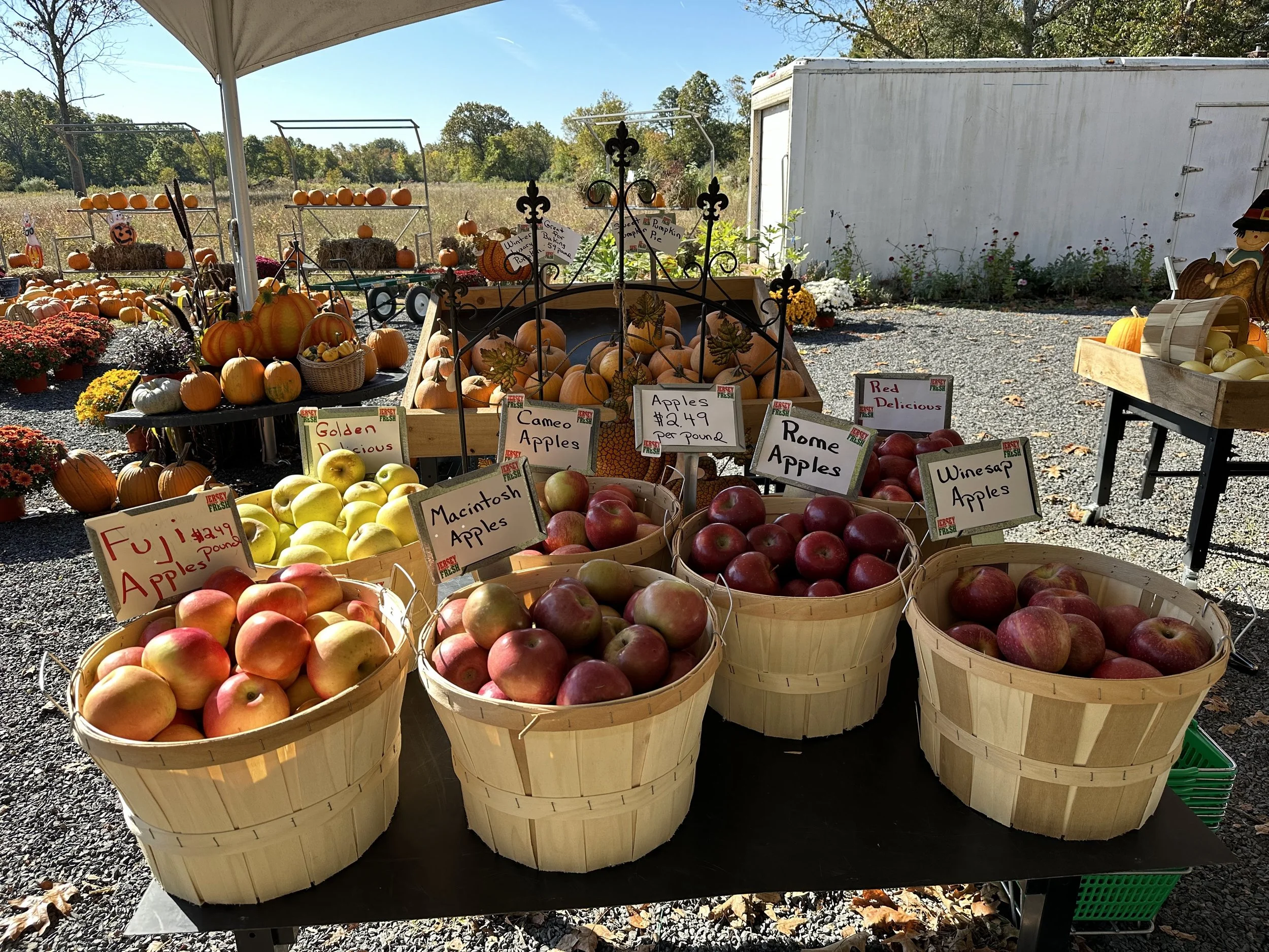 Multiple baskets of apples labeled with different varieties such as Fuji, Macintosh, Cameo, Rome, Winesap, and others, set up at an outdoor market stall with other produce in the background.