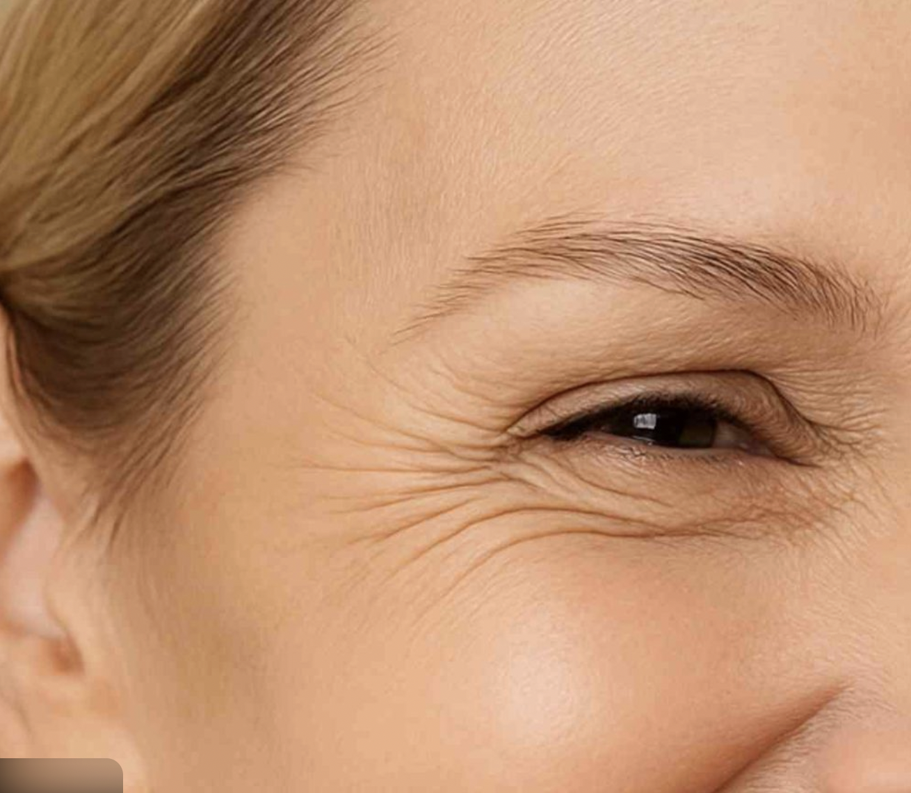 Screen Shot 2026-01-13 at 2.36.13 PM.png