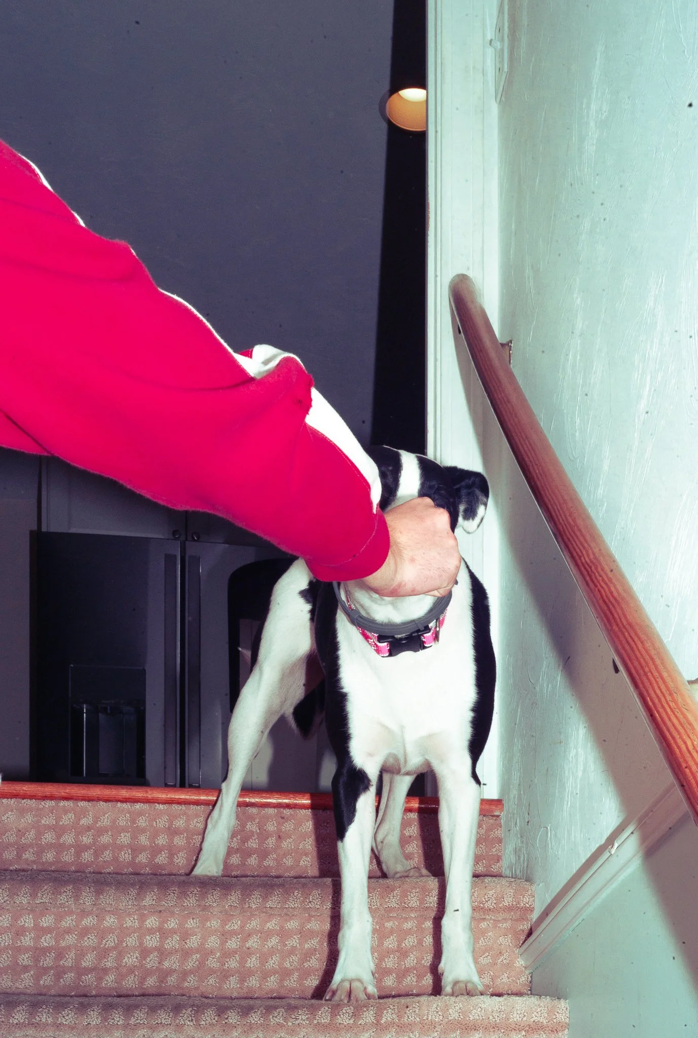 Cole-Larson-Dakotaknight-Betweentwofences-denteditions-dent-contemporary-photography (26).jpg