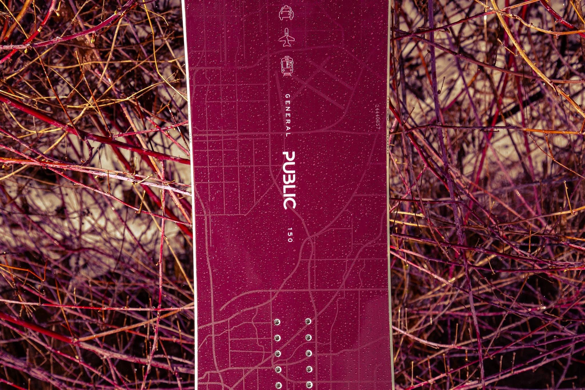 Cole-Larson-Public-Publicsnowboards-snowboard-jibgirl-minnesota-publicdispute-publicgeneral-publicdisorder (4).jpg