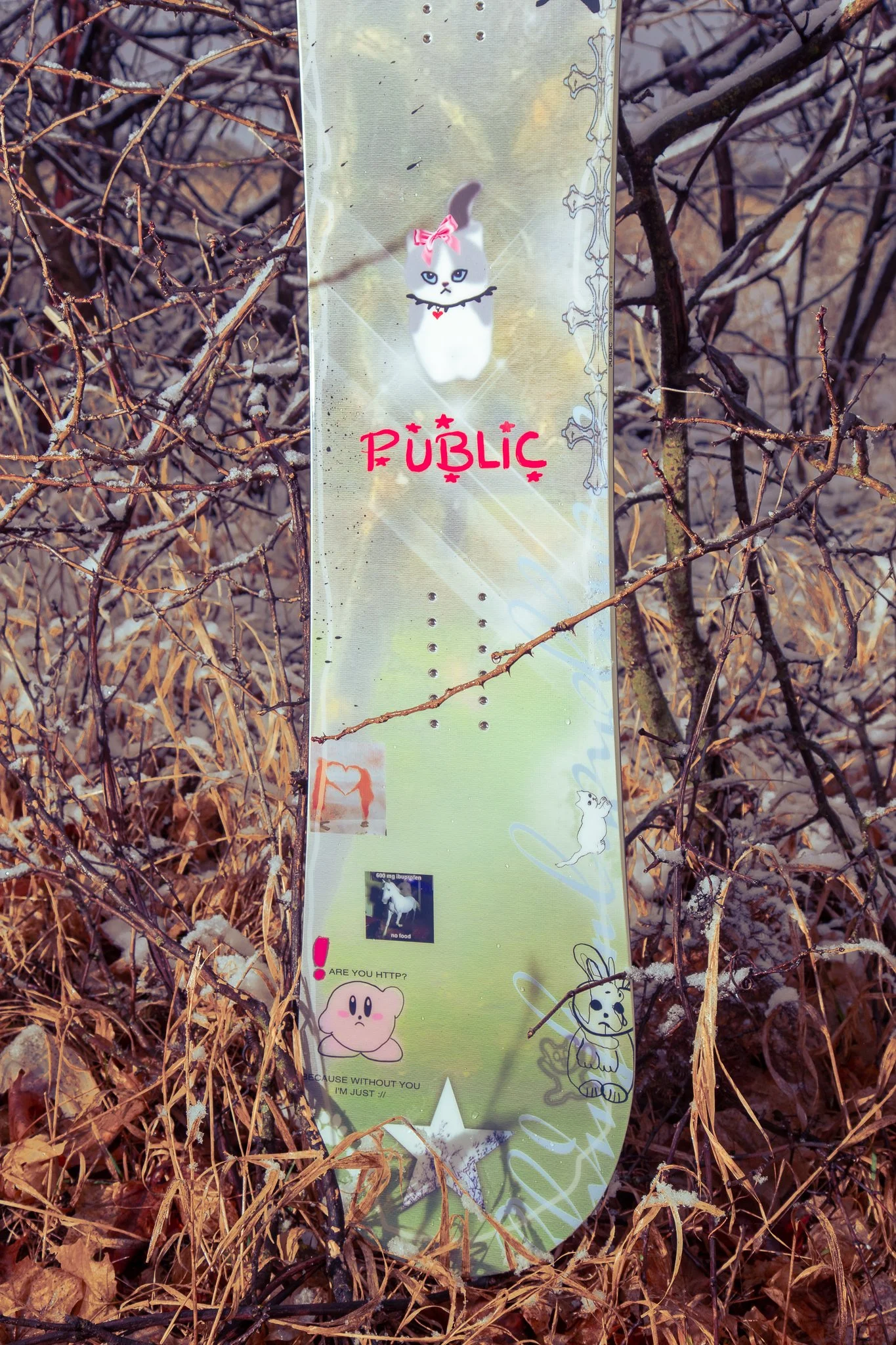 Cole-Larson-Public-Publicsnowboards-snowboard-jibgirl-minnesota-publicdispute-publicgeneral-publicdisorder.jpg