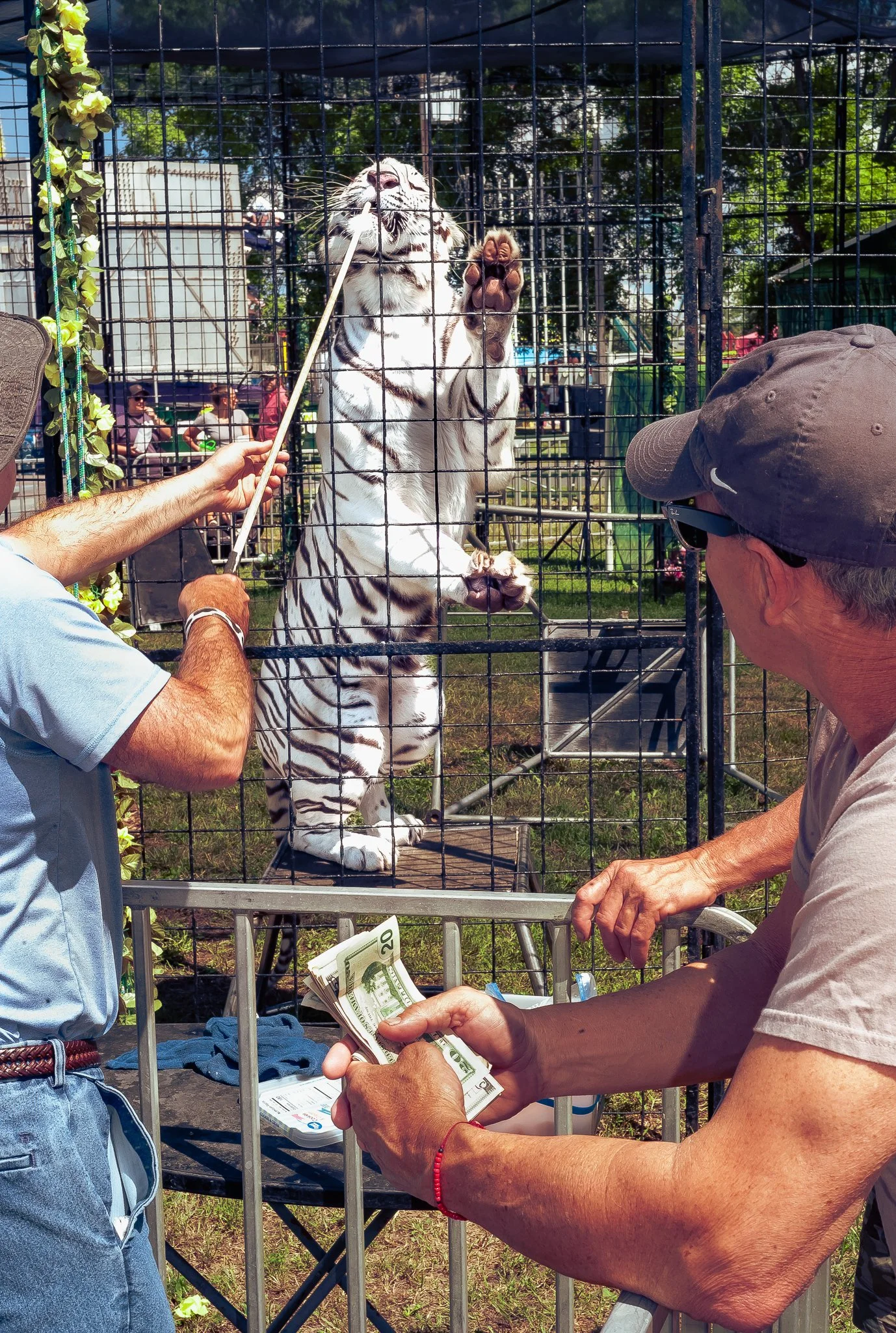 Cole-Larson-Dakotaknight-Betweentwofences-denteditions-dent-contemporary-photography (13).jpg