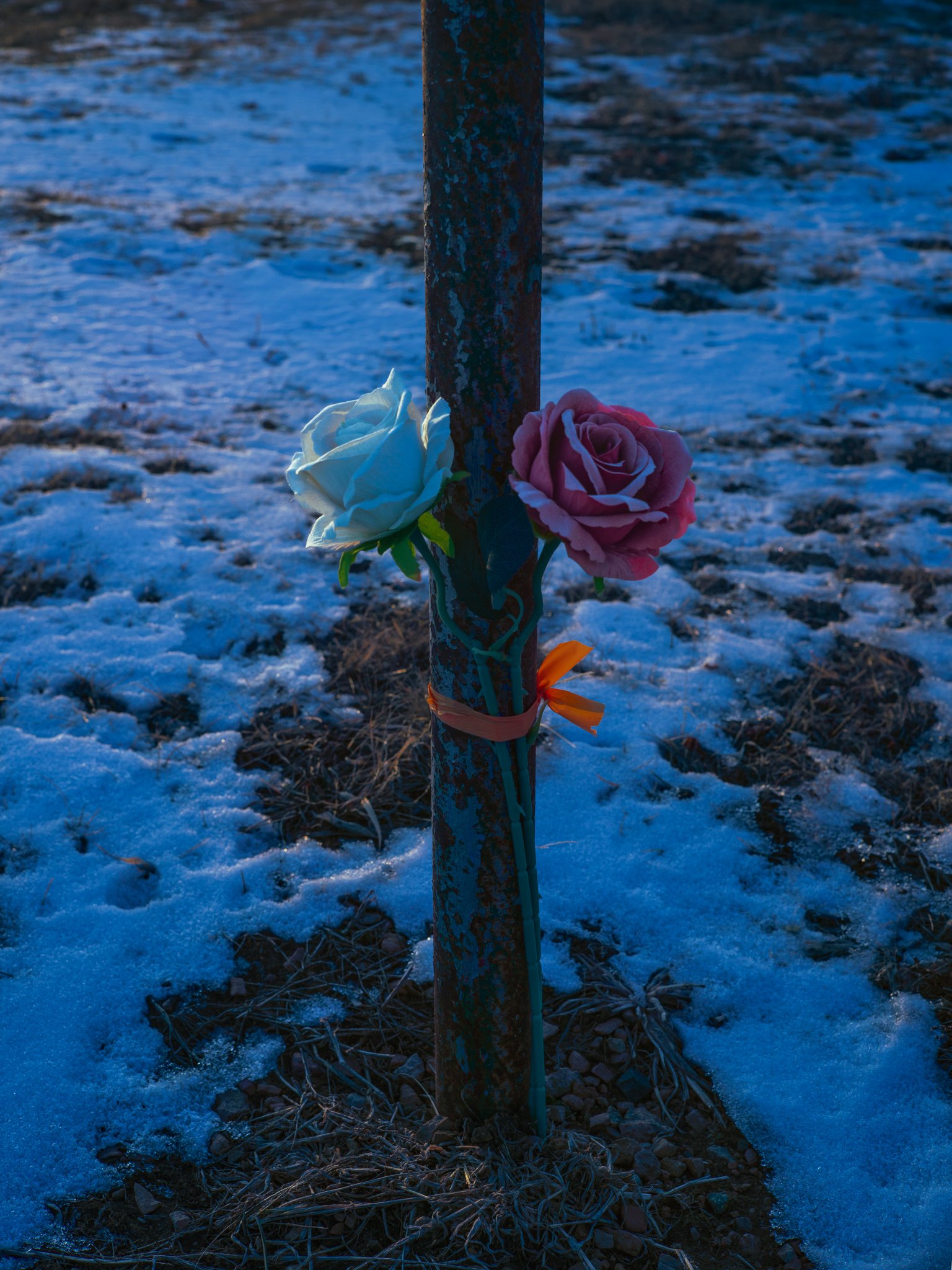 Cole-Larson-BlueHour-Blue-Landscape-minnesota-waconia-liminal-denteditions-dent-contemporary-photography (9).jpg