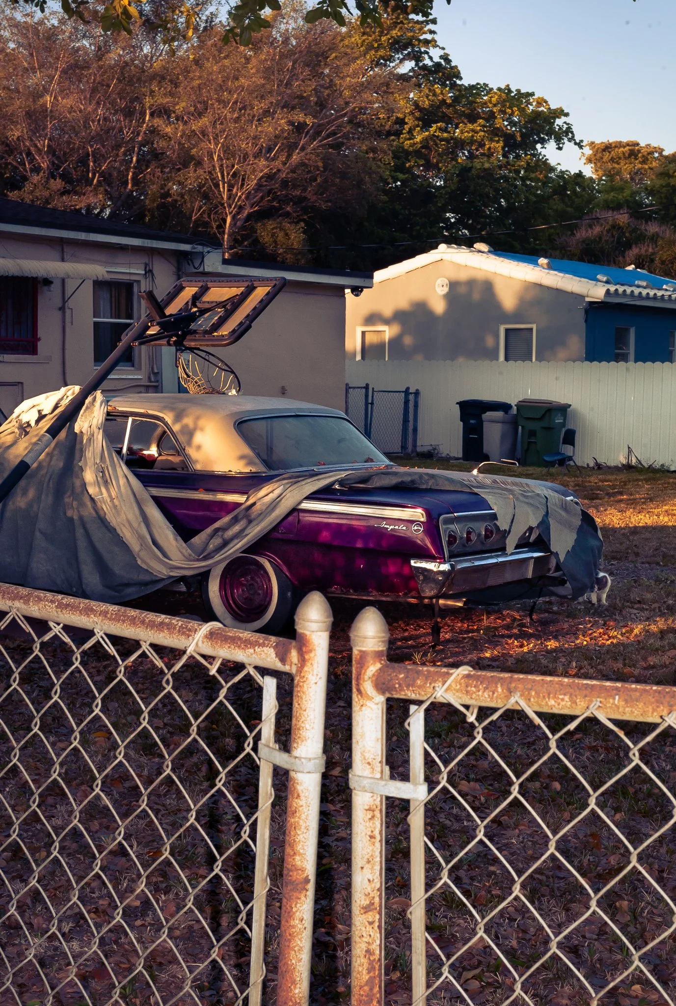 Cole-Larson-Dakotaknight-Betweentwofences-denteditions-dent-contemporary-photography (11).jpg