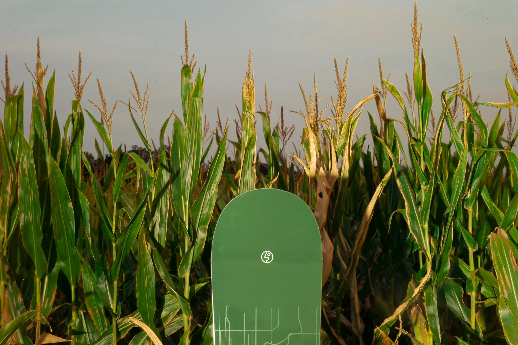 Cole-Larson-Public-Publicsnowboards-snowboard-jibgirl-minnesota-publicdispute-publicgeneral-publicdisorder (38).jpg