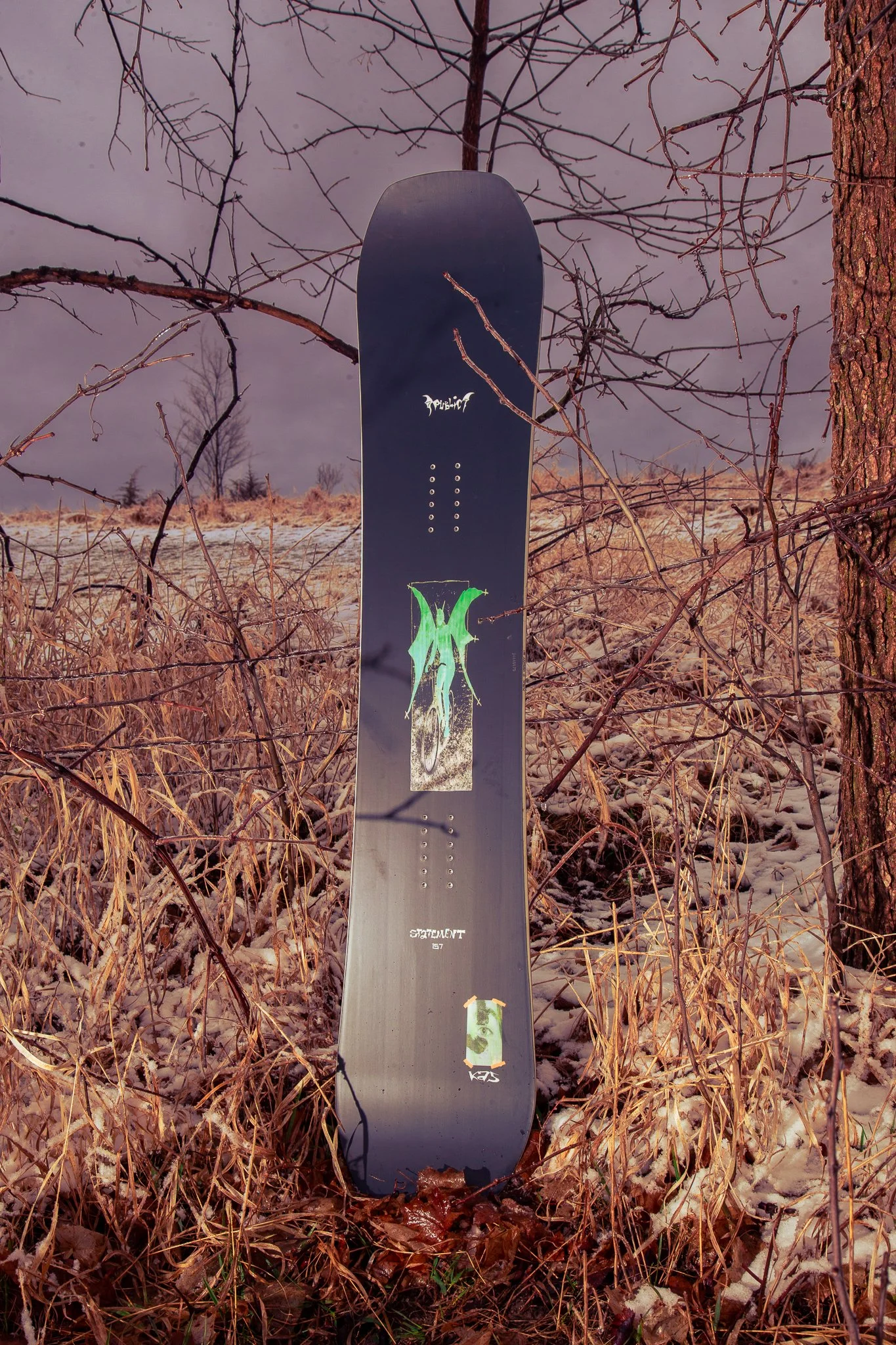 Cole-Larson-Public-Publicsnowboards-snowboard-jibgirl-minnesota-publicdispute-publicgeneral-publicdisorder (2).jpg