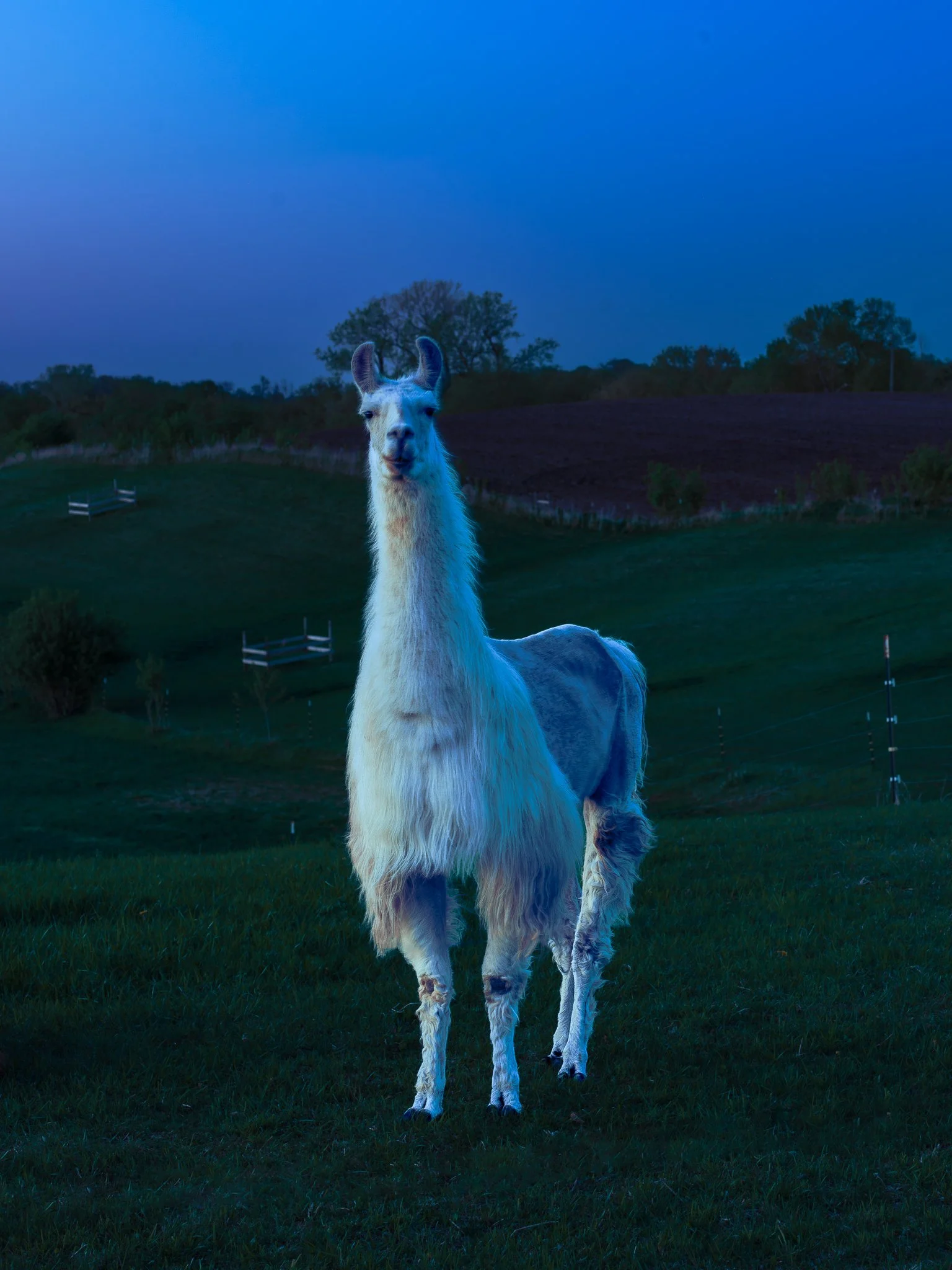 Cole-Larson-BlueHour-Blue-Landscape-minnesota-waconia-liminal-denteditions-dent-contemporary-photography (7).jpg