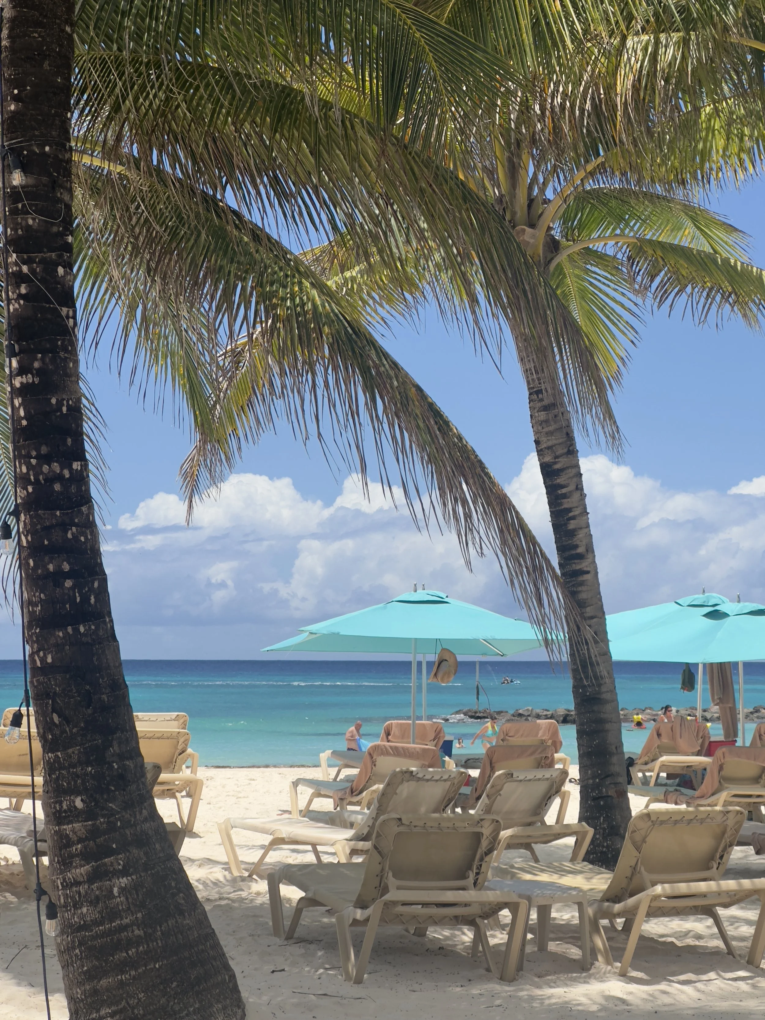 💍 Honeymoons & Romantic Getaways