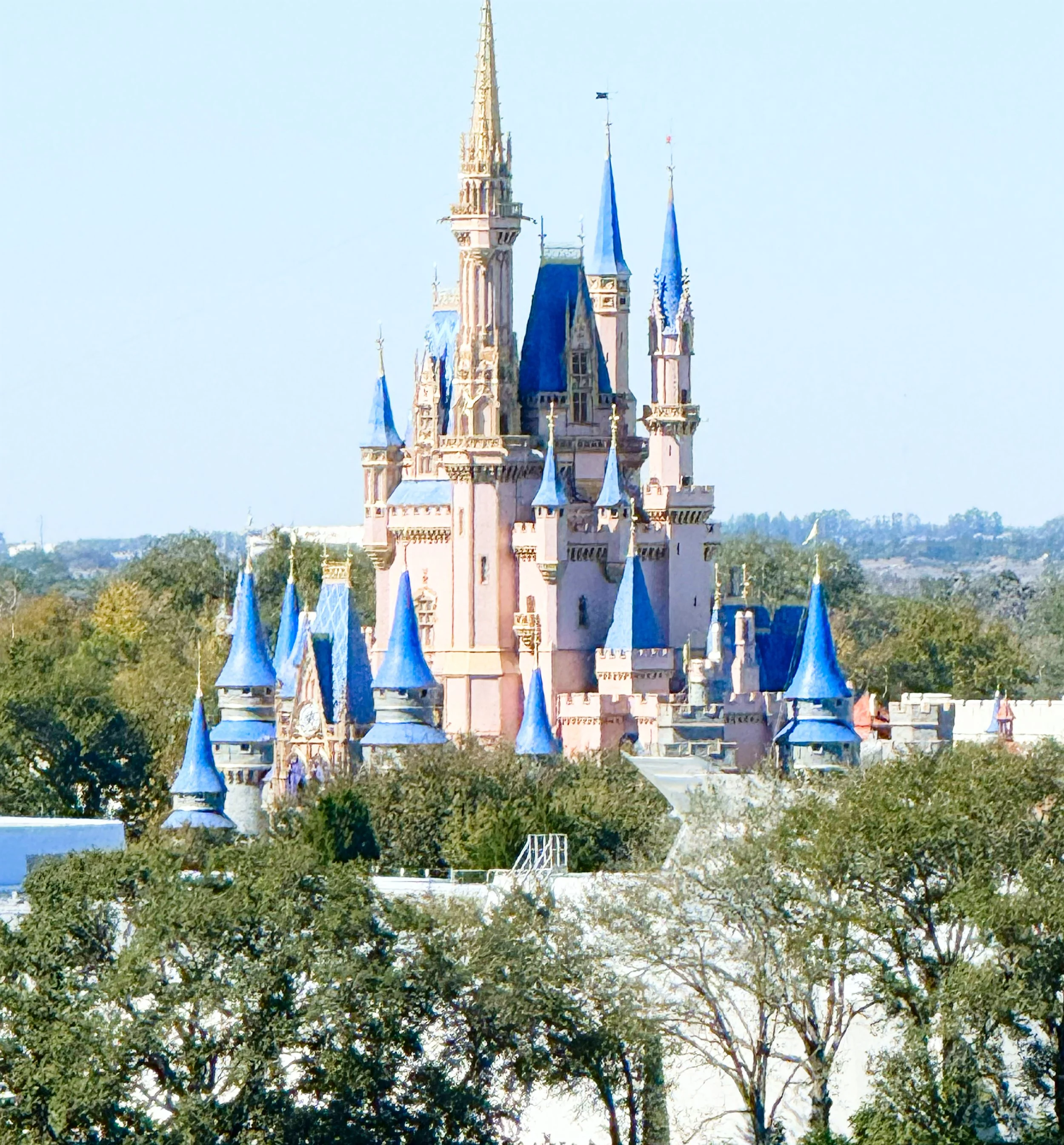 🎢 Disney & Universal Vacation Packages