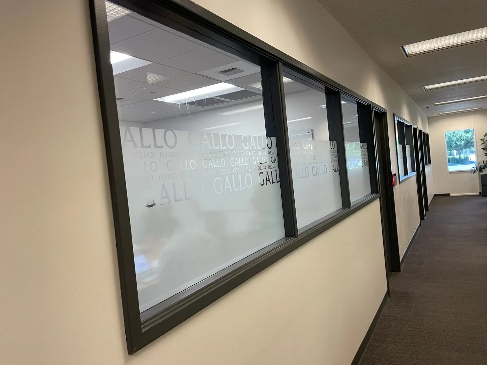 Office corridor with windows on the right side, some with logo decals reading 'GALLO,' and a window at the end showing trees outside.
