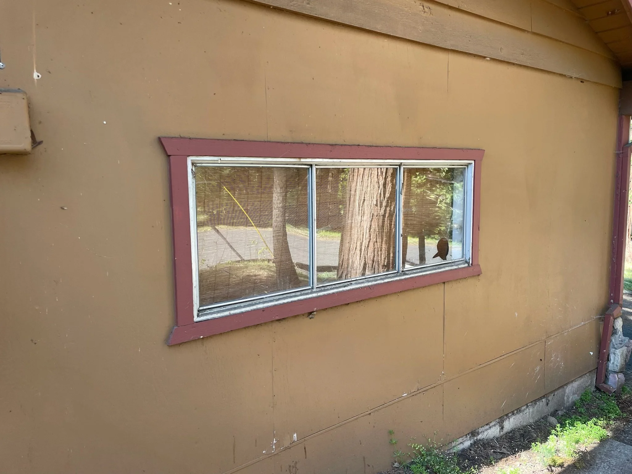 A horizontal window set into a yellow wall of a house, with a red border around the window frame. Reflections of trees and a tree trunk can be seen in the window.