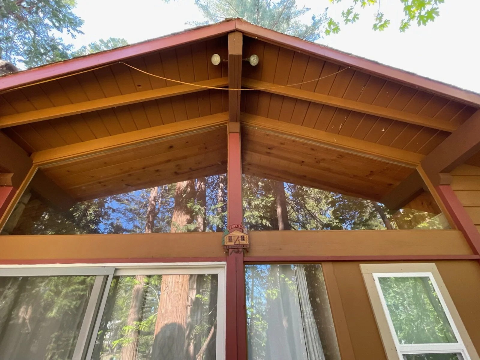 Upward view of a wooden house with large window panels, surrounded by tall trees and blue sky.