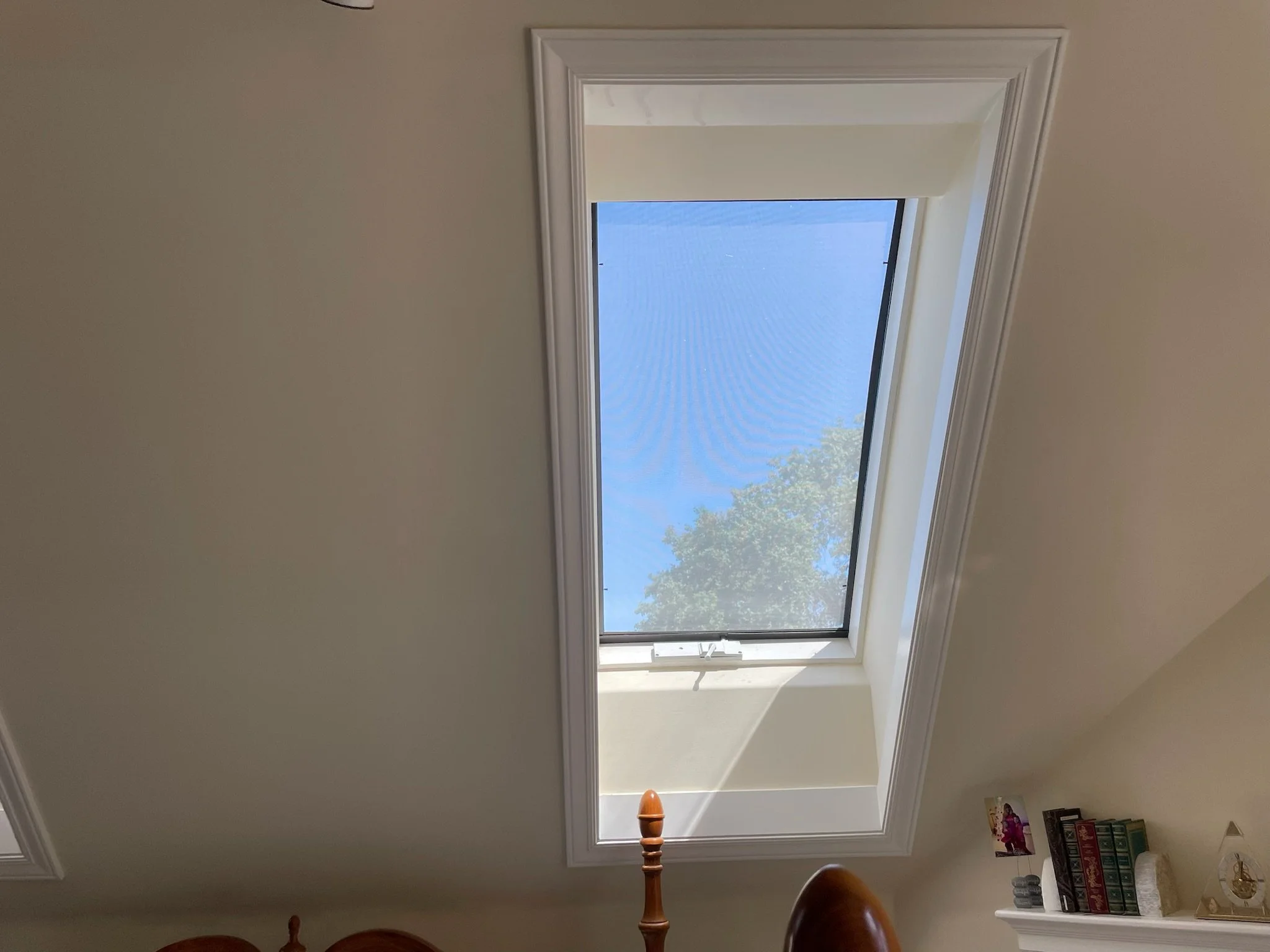 Ceiling skylight with a view of blue sky and green tree branches.