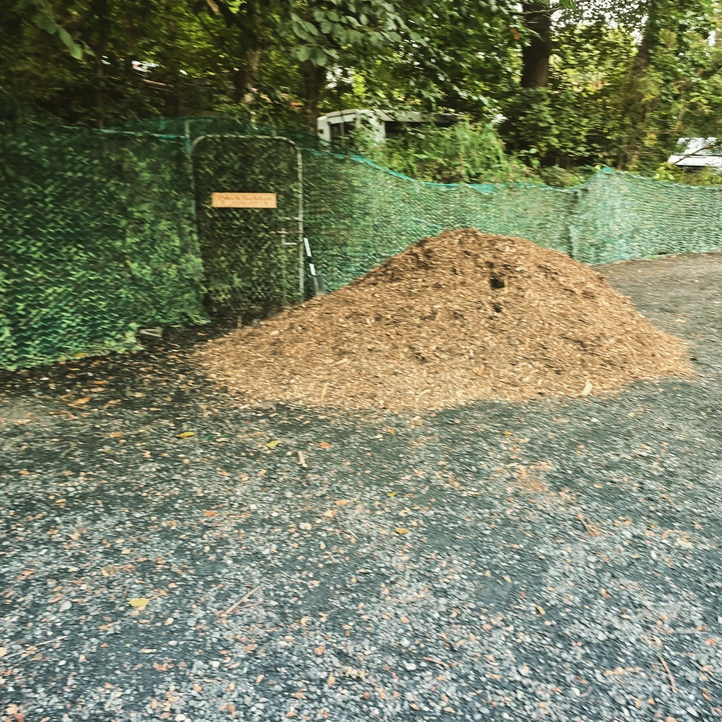 The Woods got a bit of TLC today, in between tail wags and muddy paws