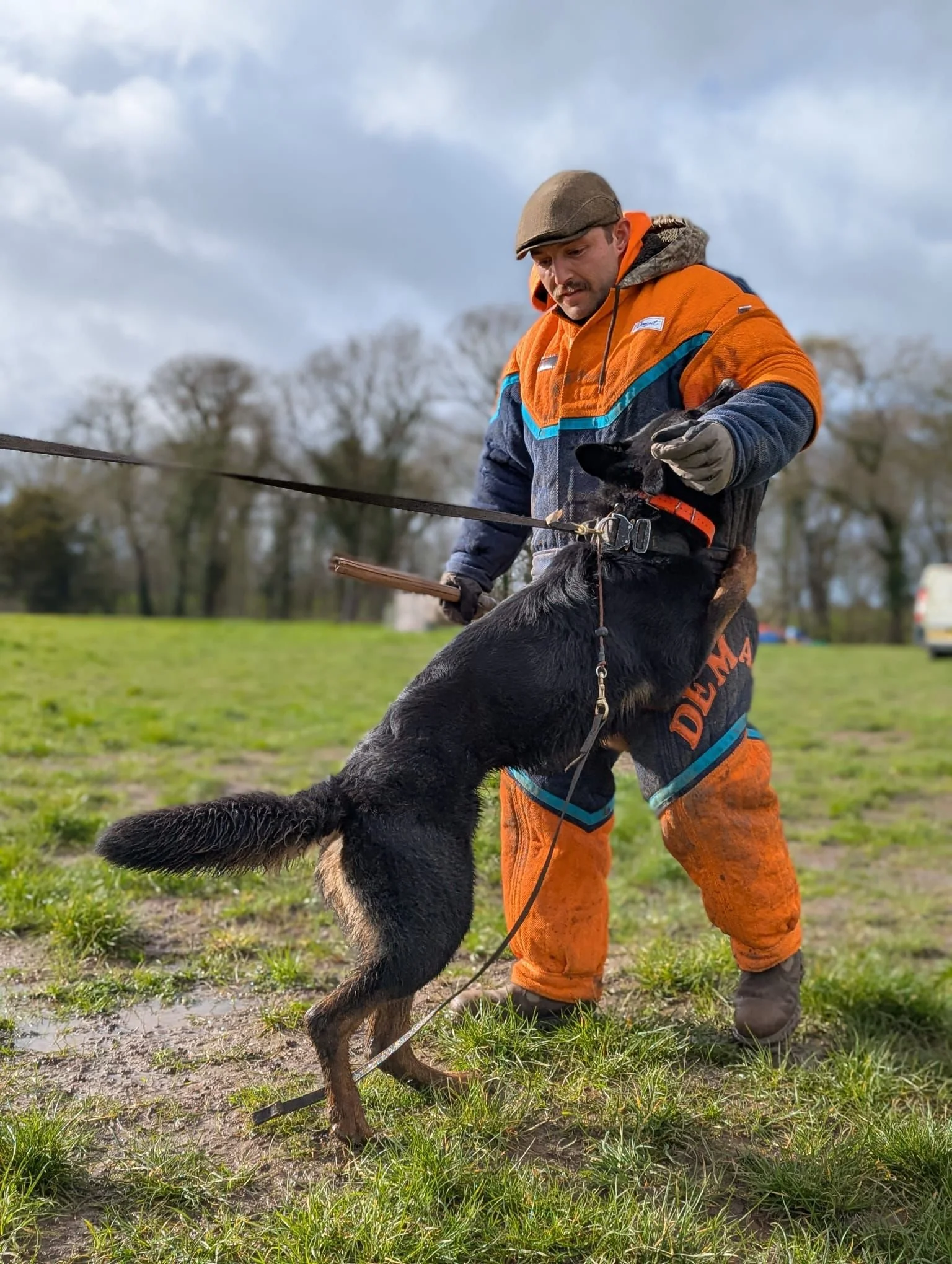 PSA decoy training, bite work, Millen K9 Services, Halifax