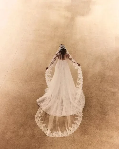 IBERIS VEIL