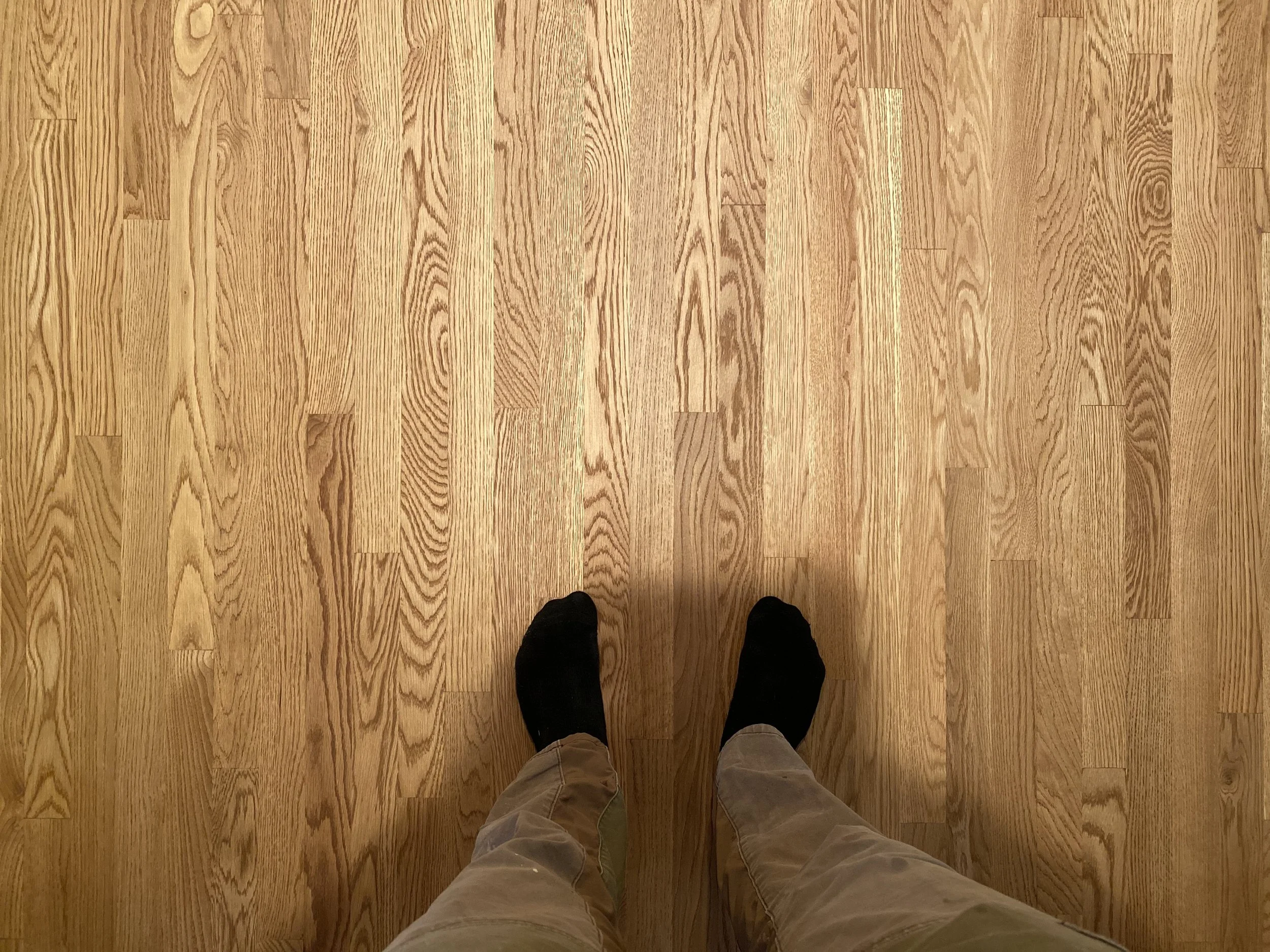 A person standing on a hardwood floor, looking down at their feet, wearing beige pants and black shoes.