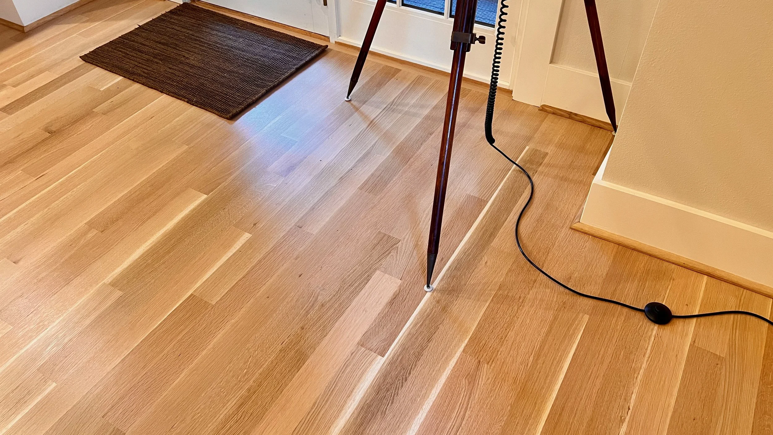 A wooden floor next to a white wall with a brown doormat near a glass door. Part of a tripod or stand and a black cable with a rounded plug are visible.