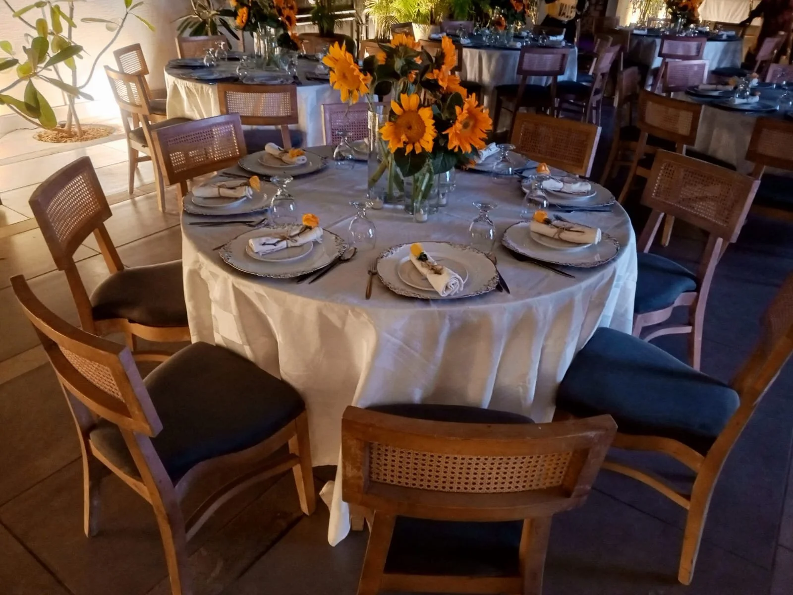 A round banquet table set for an event with a large sunflower centerpiece, white plates with silver trim, silverware, wine glasses, white cloth napkins with small yellow flowers, and dark chairs around the table in a warmly lit room.