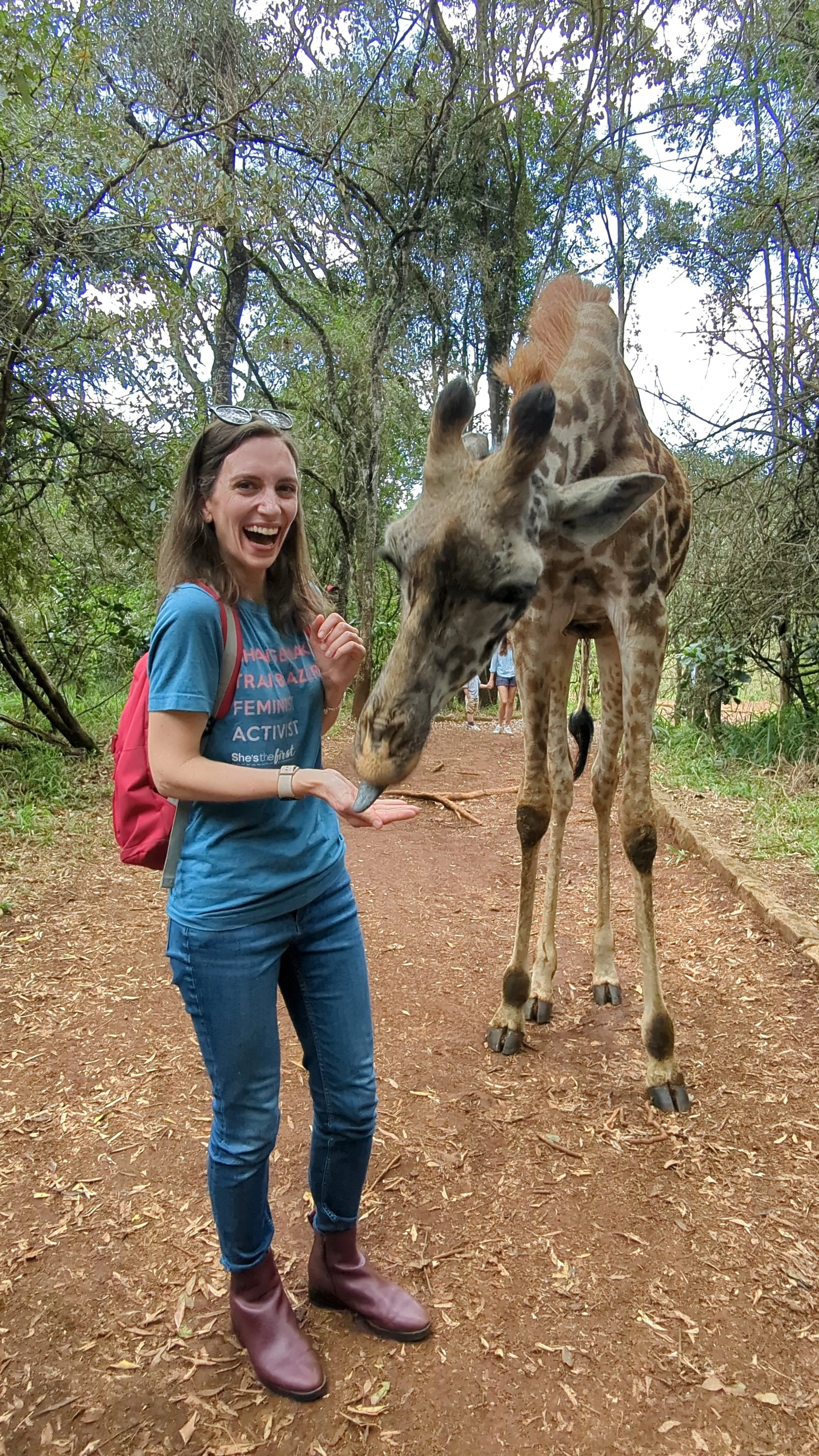A woman smiling and laughing with her hand out, feeding a giraffe in a wooded area.