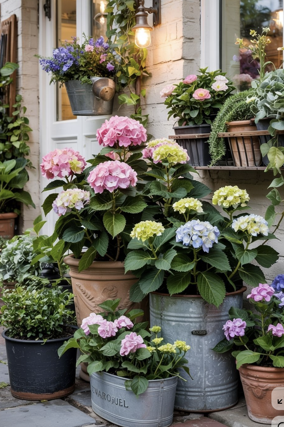 Warm Welcome - Fresh