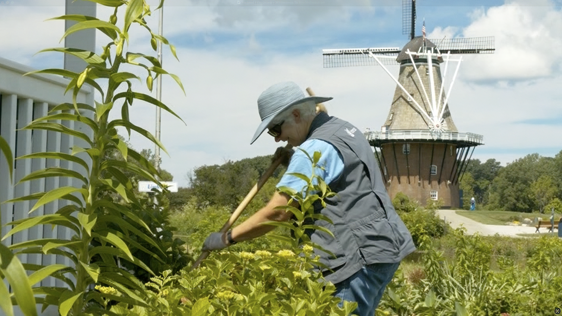 A person gardening in front of a windmill, wearing a wide-brimmed hat, sunglasses, and a gray vest, tending to green plants with a hoe on a sunny day with a partly cloudy sky.