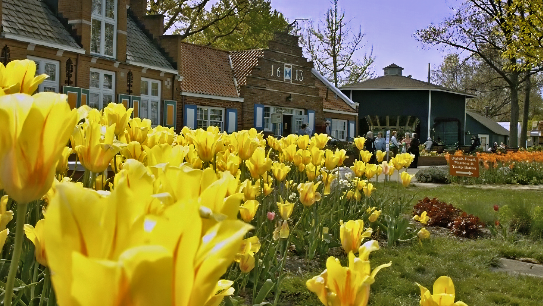 A garden filled with yellow tulips in bloom, with a group of people standing near a blue-green building and vintage houses in the background under a clear sky.