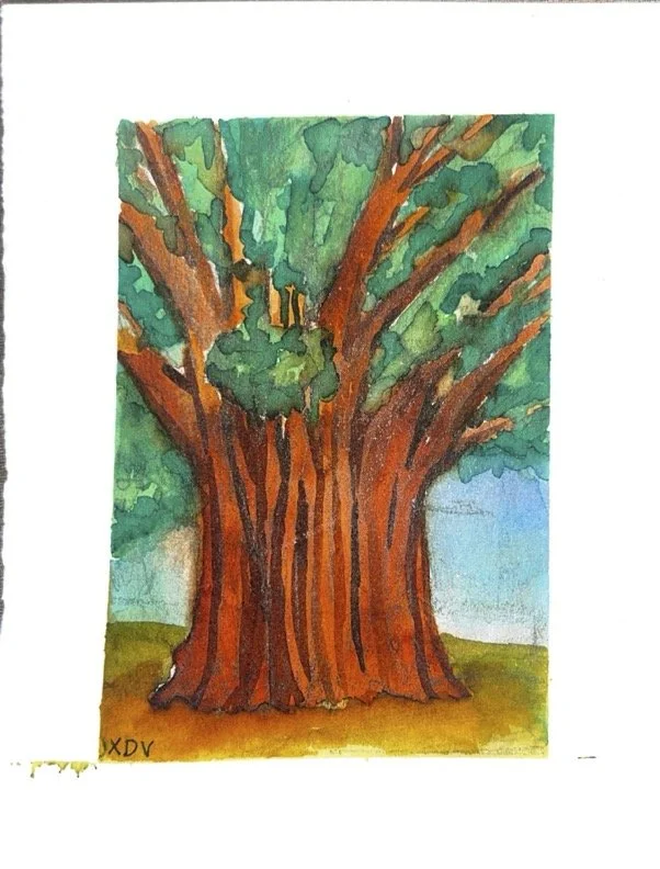 Adobe Scan May 27, 2025 (1).jpg