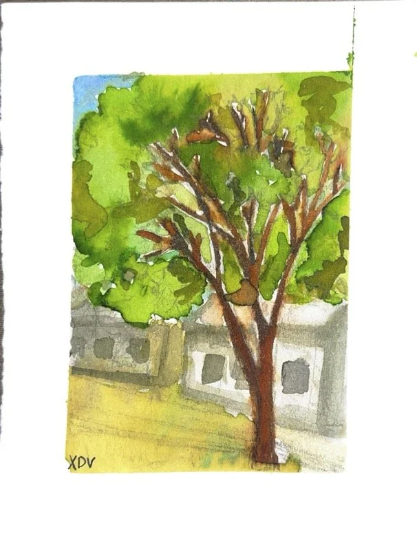 Adobe Scan May 27, 2025 (2).jpg