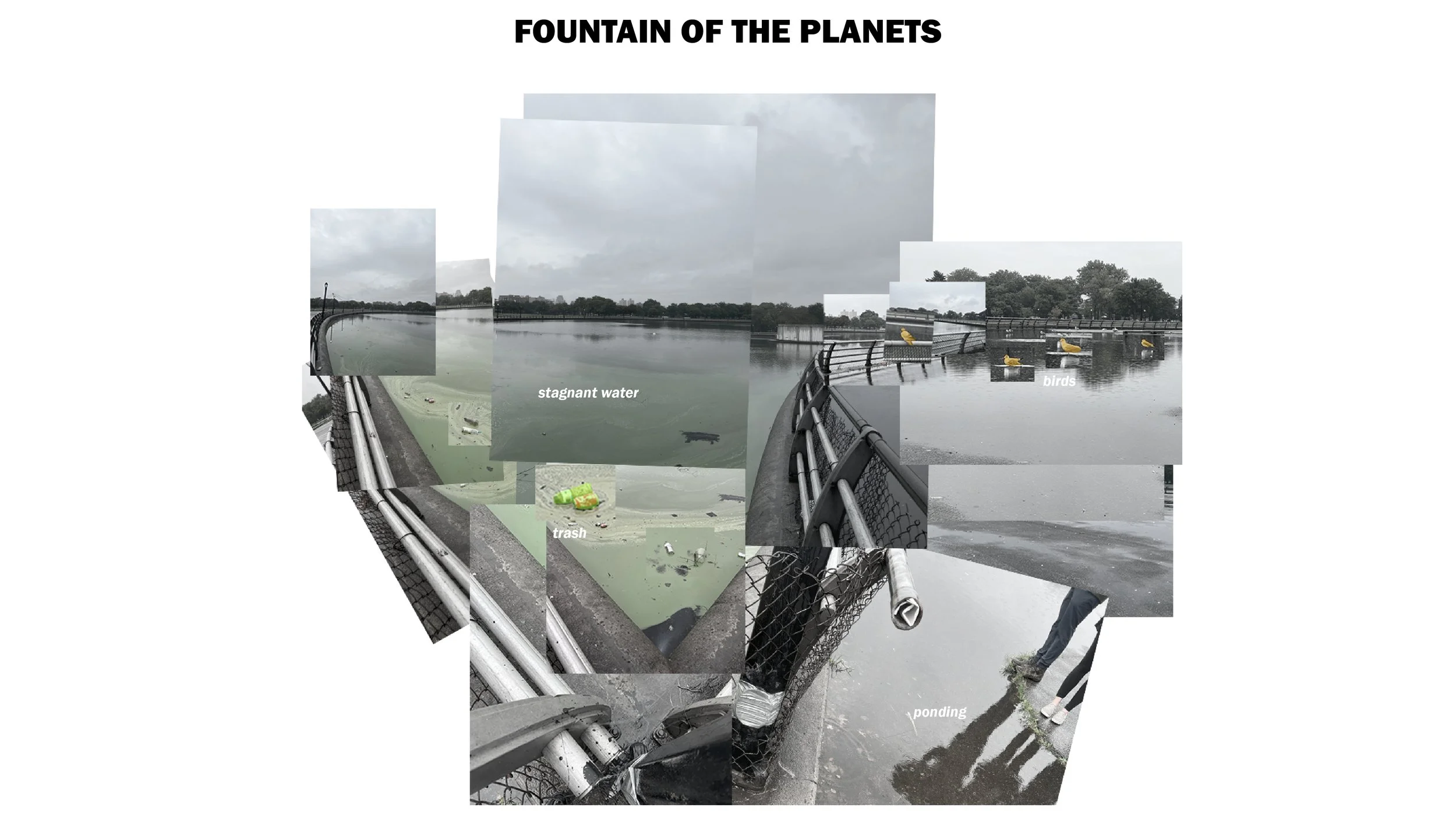 DALY-photo-joiner@fountainplanets.jpg