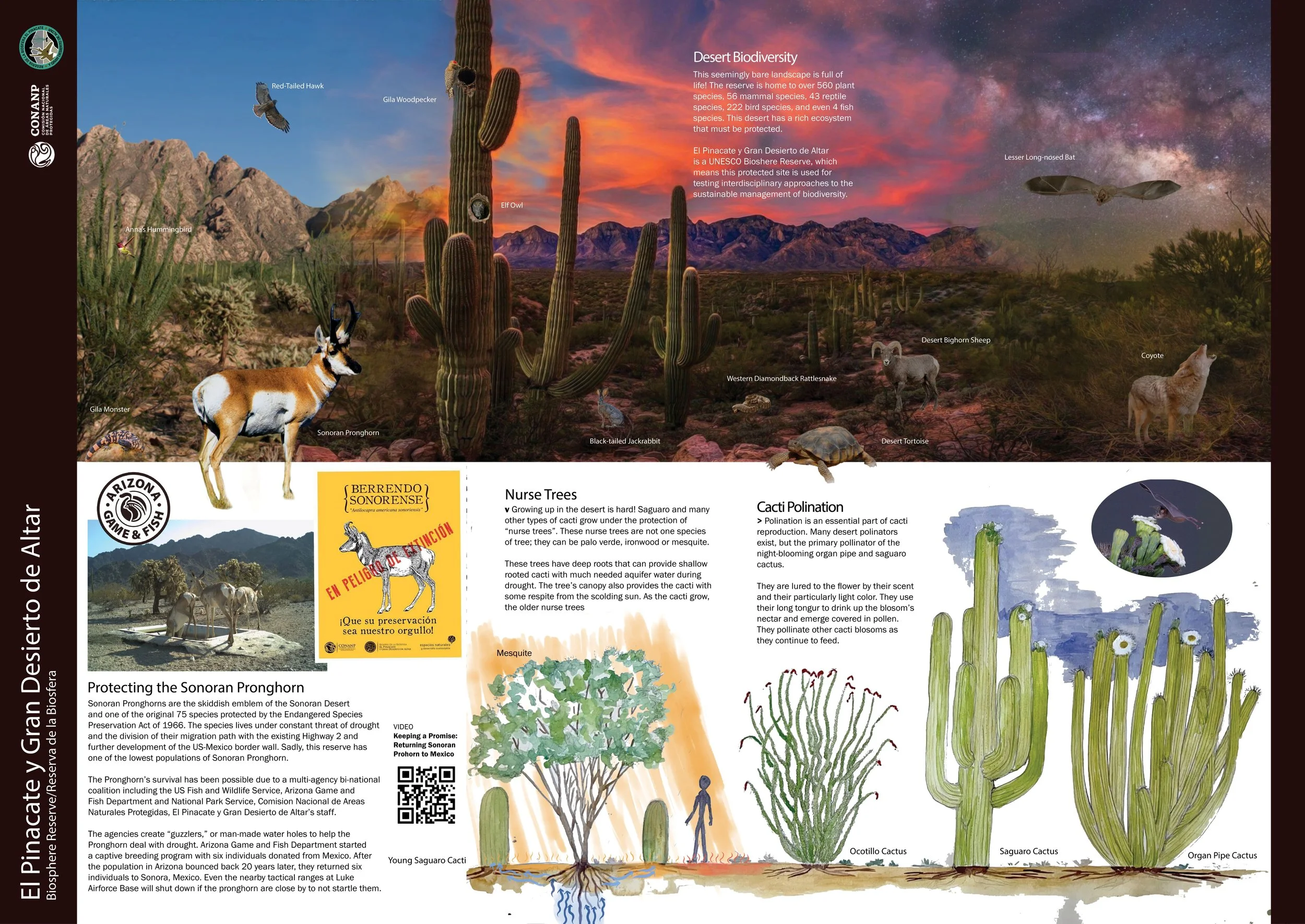ENVIRONMENTAL EDUCATION /