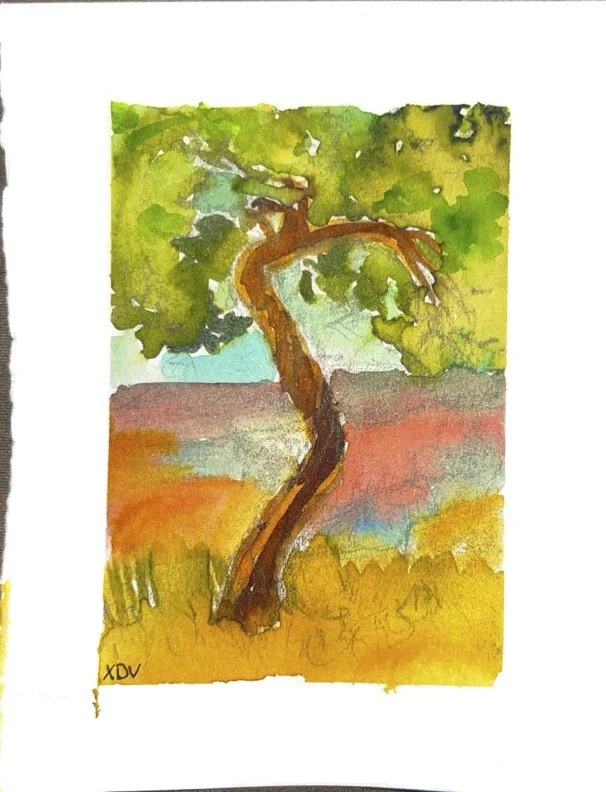 Adobe Scan May 27, 2025 (3).jpg