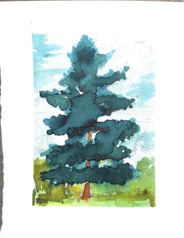 Adobe Scan May 27, 2025.jpg