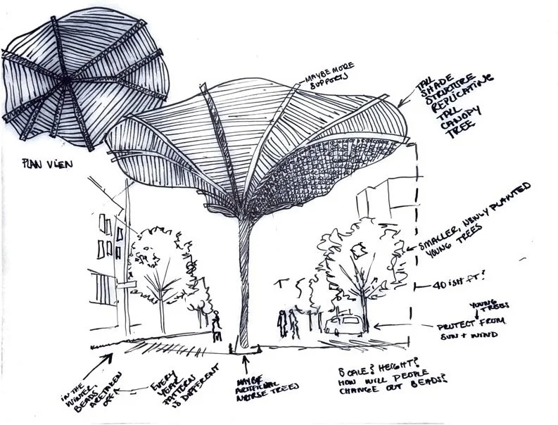 Adobe Scan Oct 14, 2024.jpg