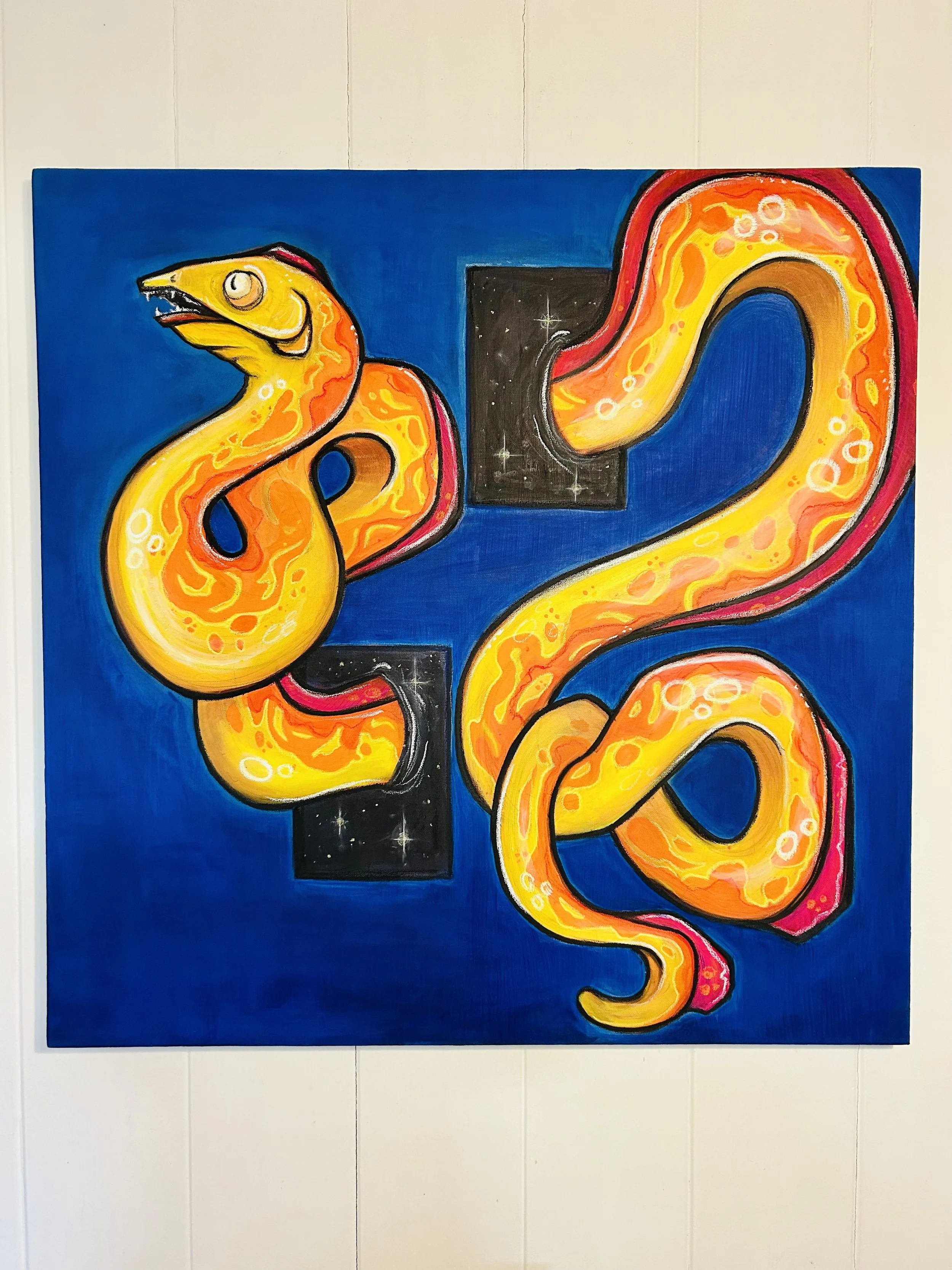 Puhi Paka o Pele (this space eel may be haunted)