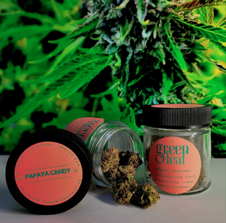 Screenshot 2026-03-19 at 1.36.05 PM.png